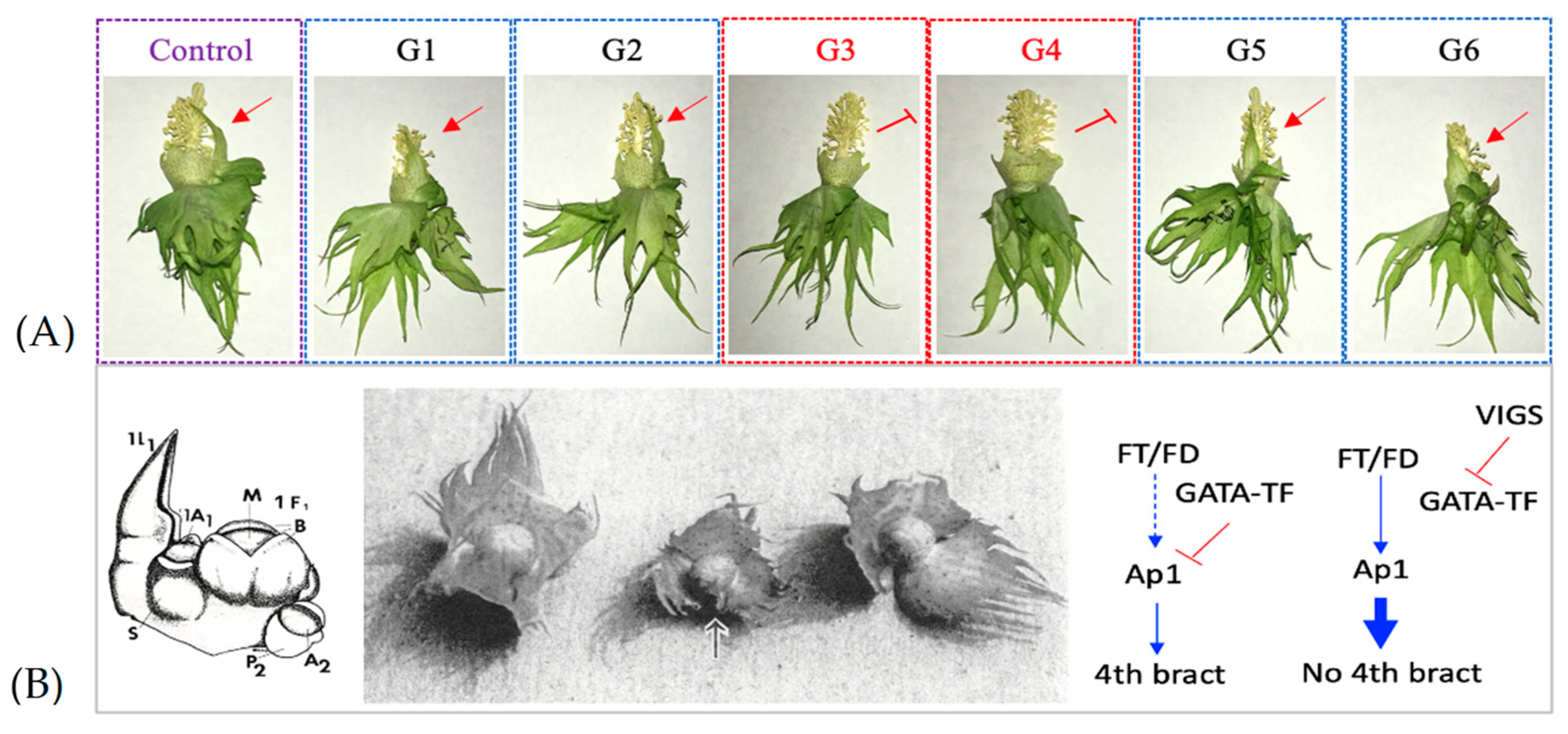 Preprints 70654 g004