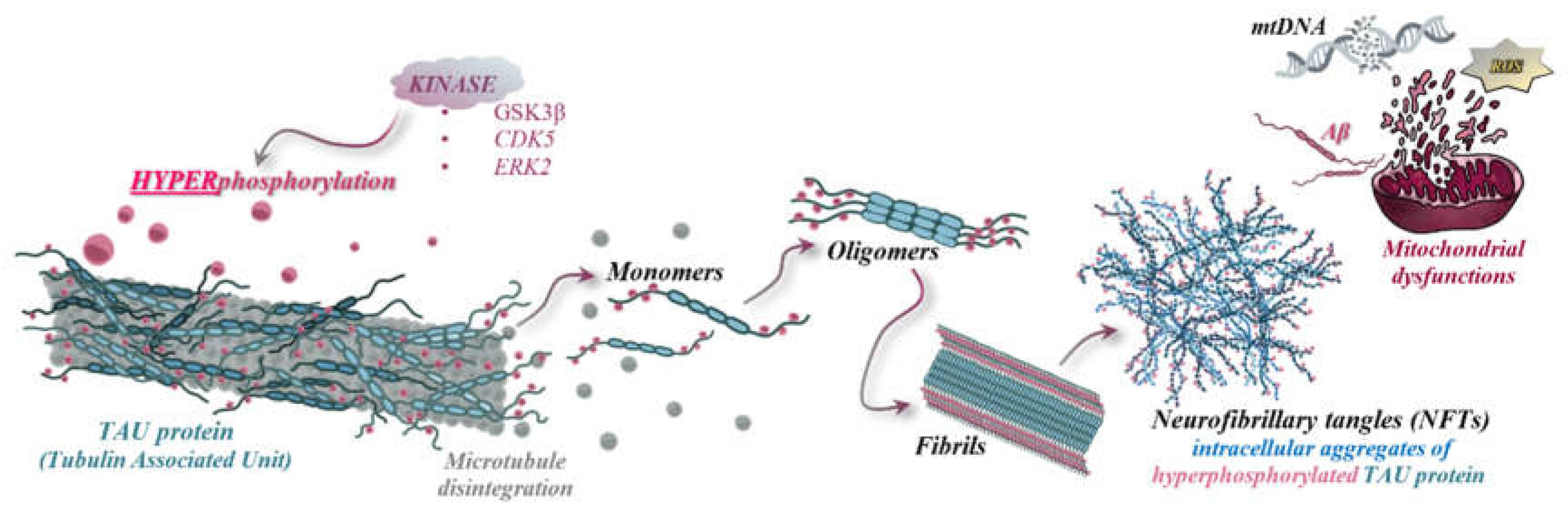 Preprints 117659 g003
