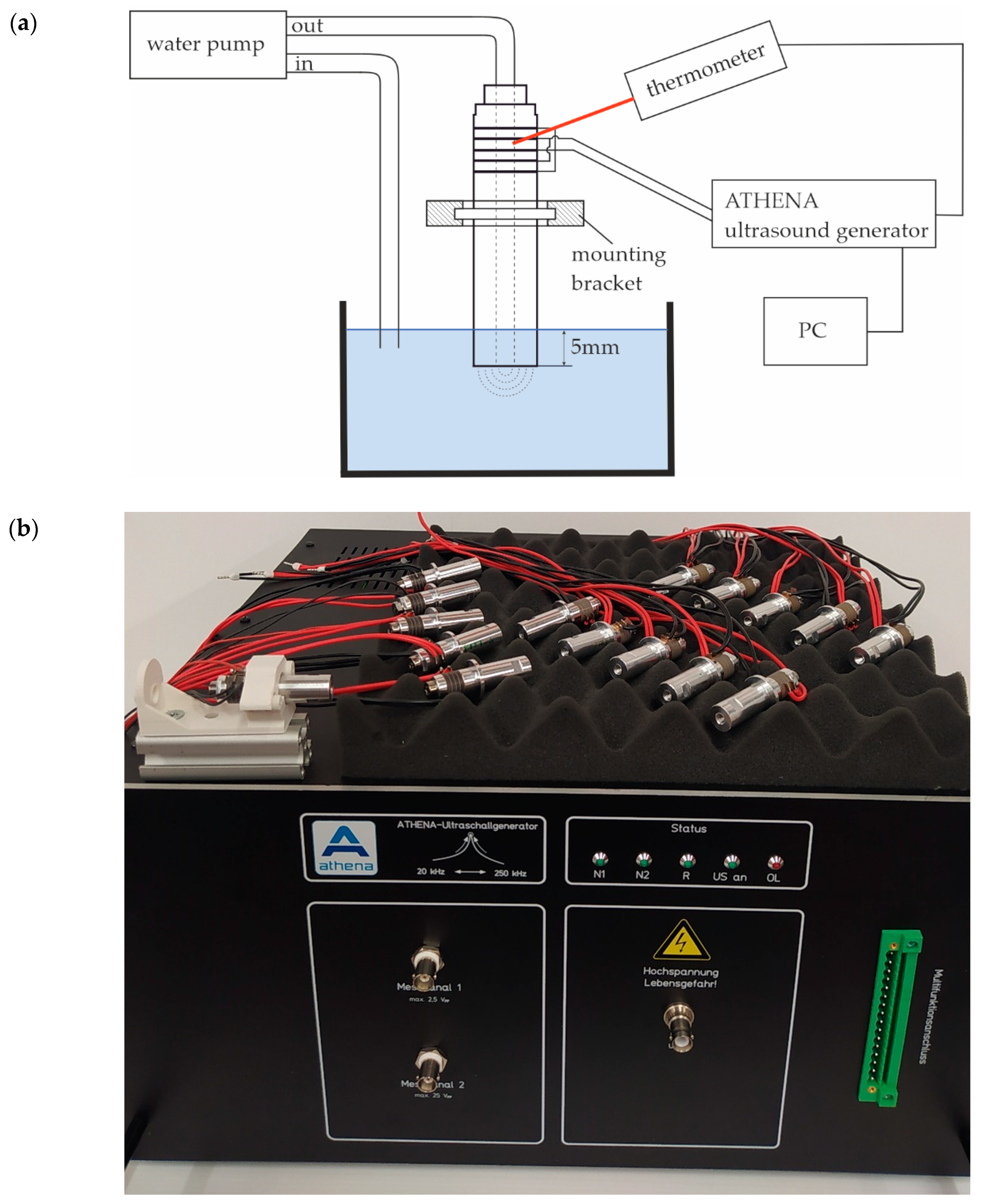 Preprints 143623 g002