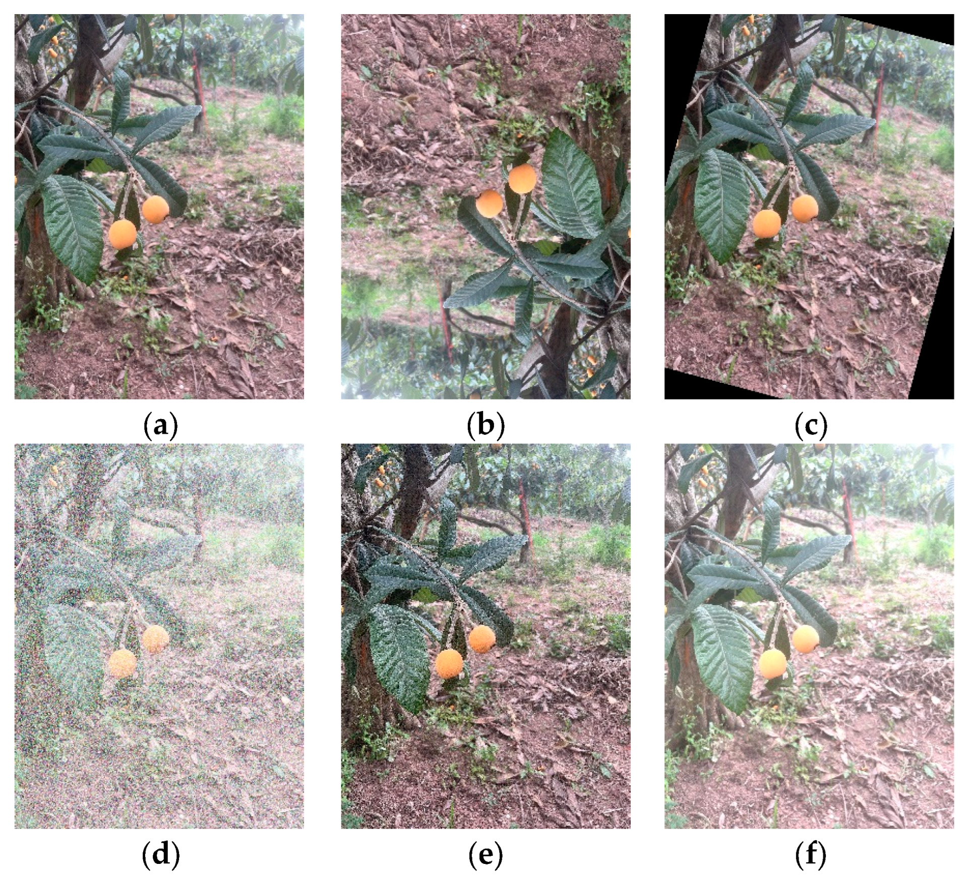 Preprints 181556 g002