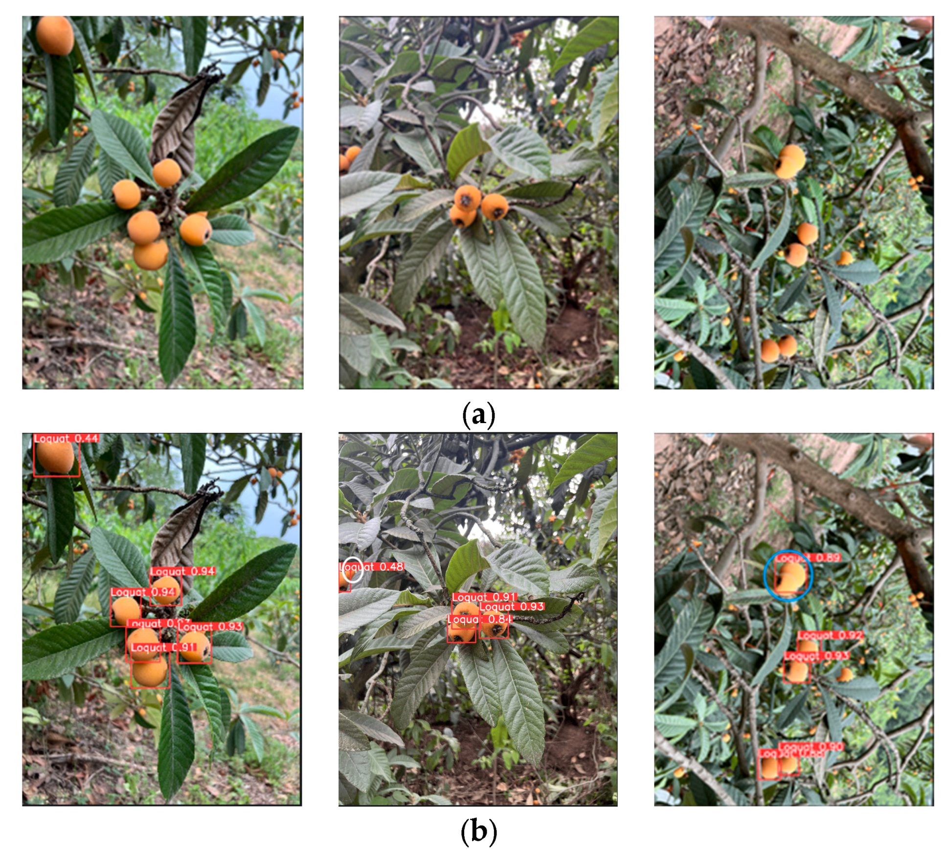 Preprints 181556 g009a