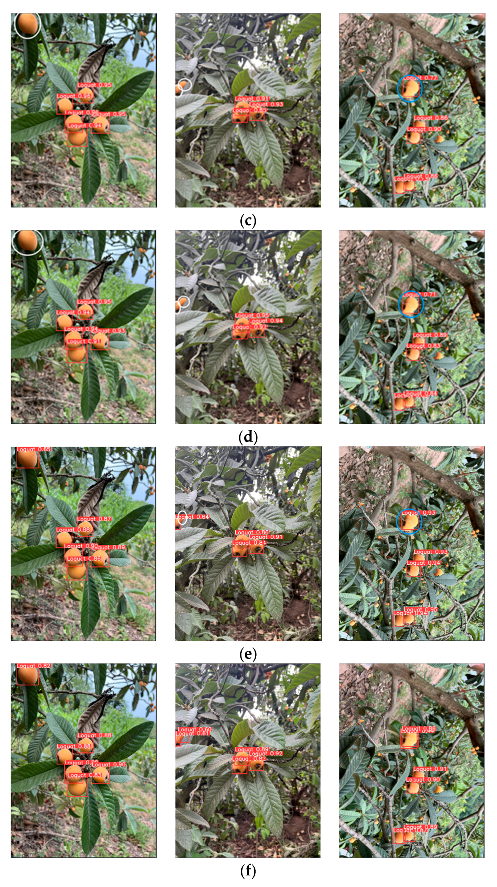 Preprints 181556 g009b