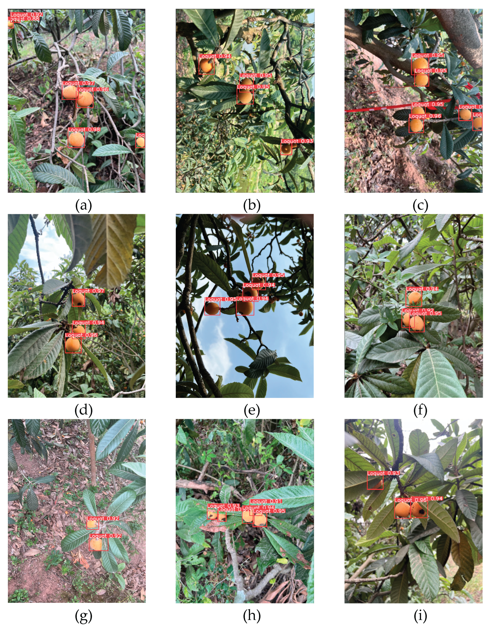 Preprints 181556 g011