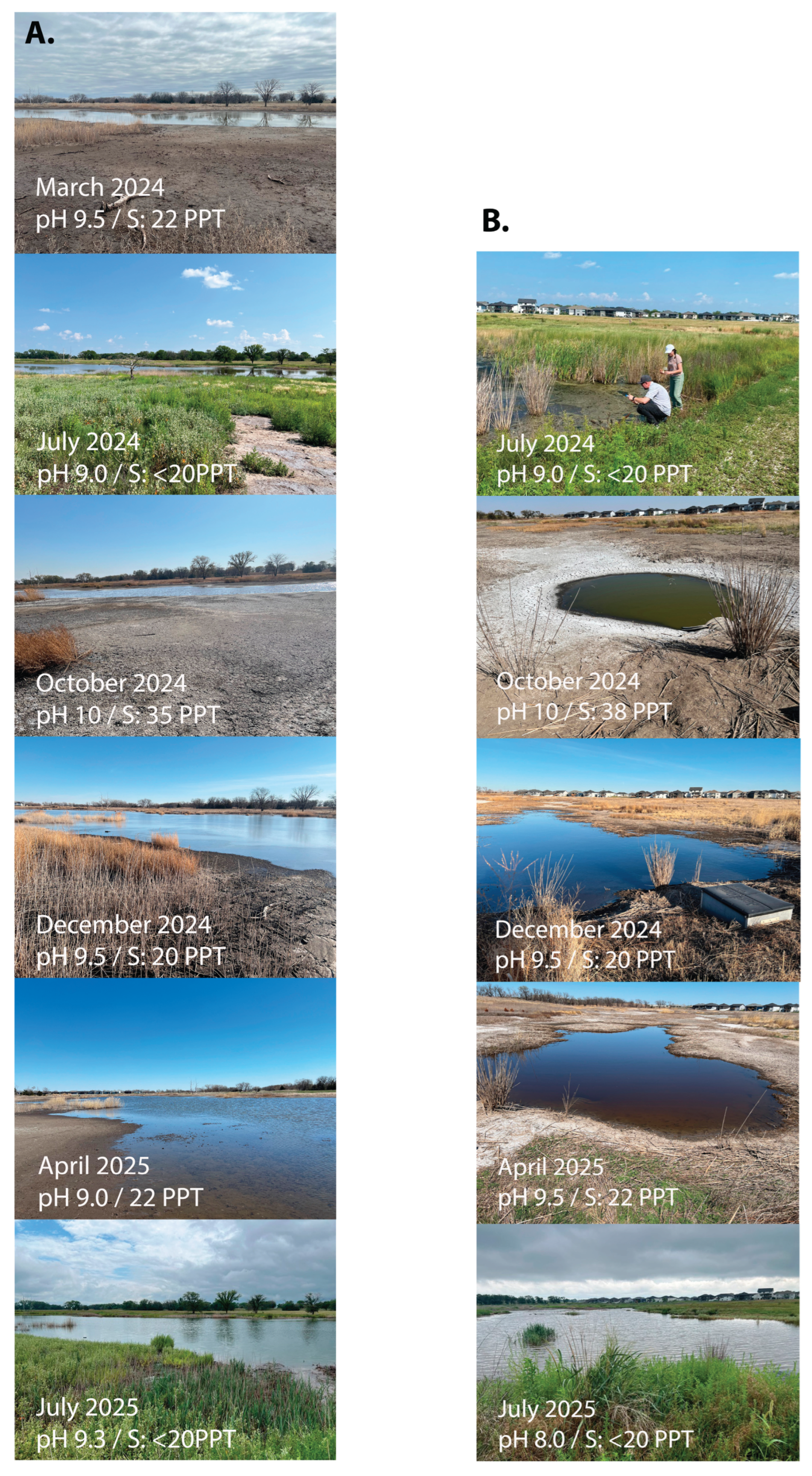 Preprints 176191 g001