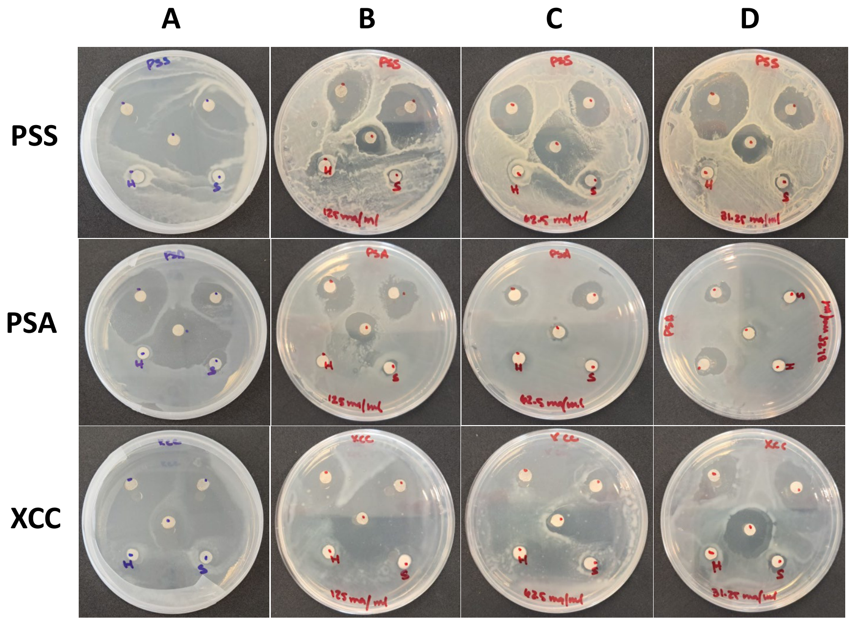 Preprints 235958 g001 Preprints 235958 g001