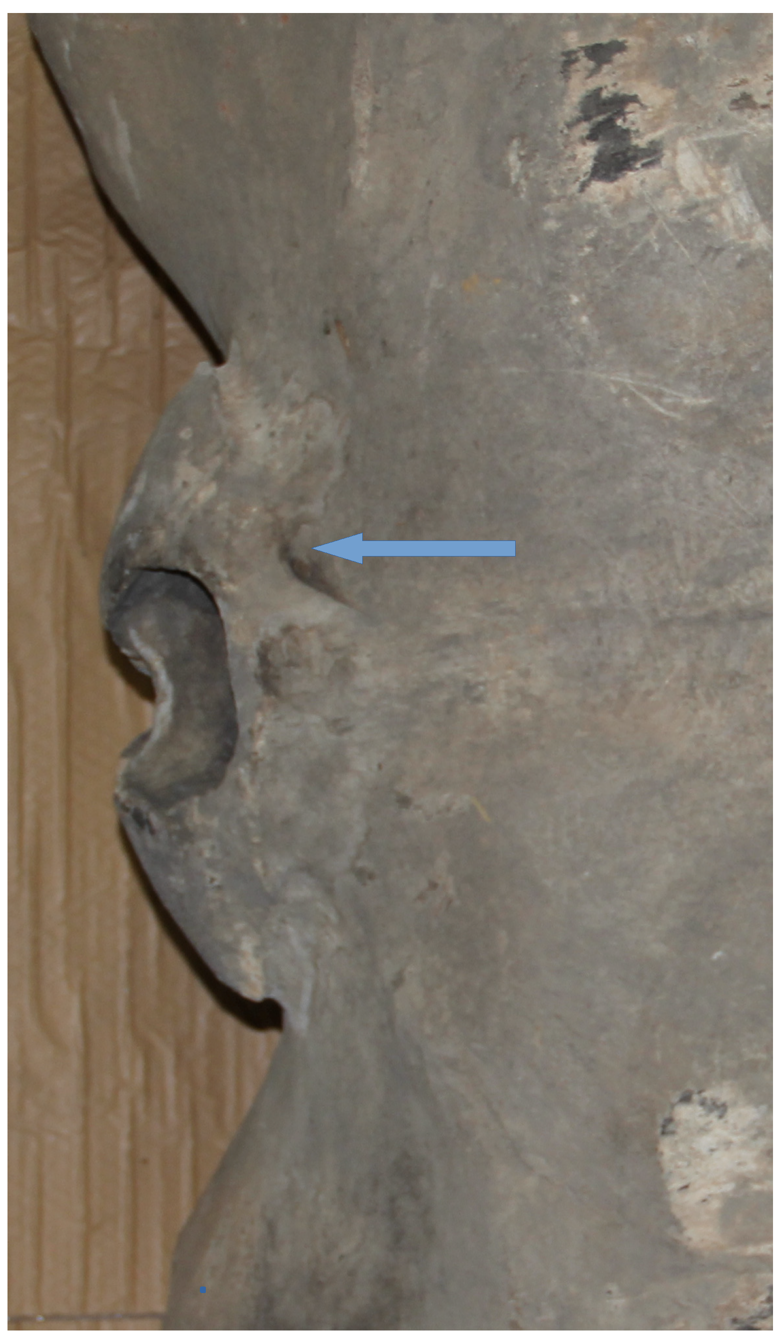 Preprints 177368 g005