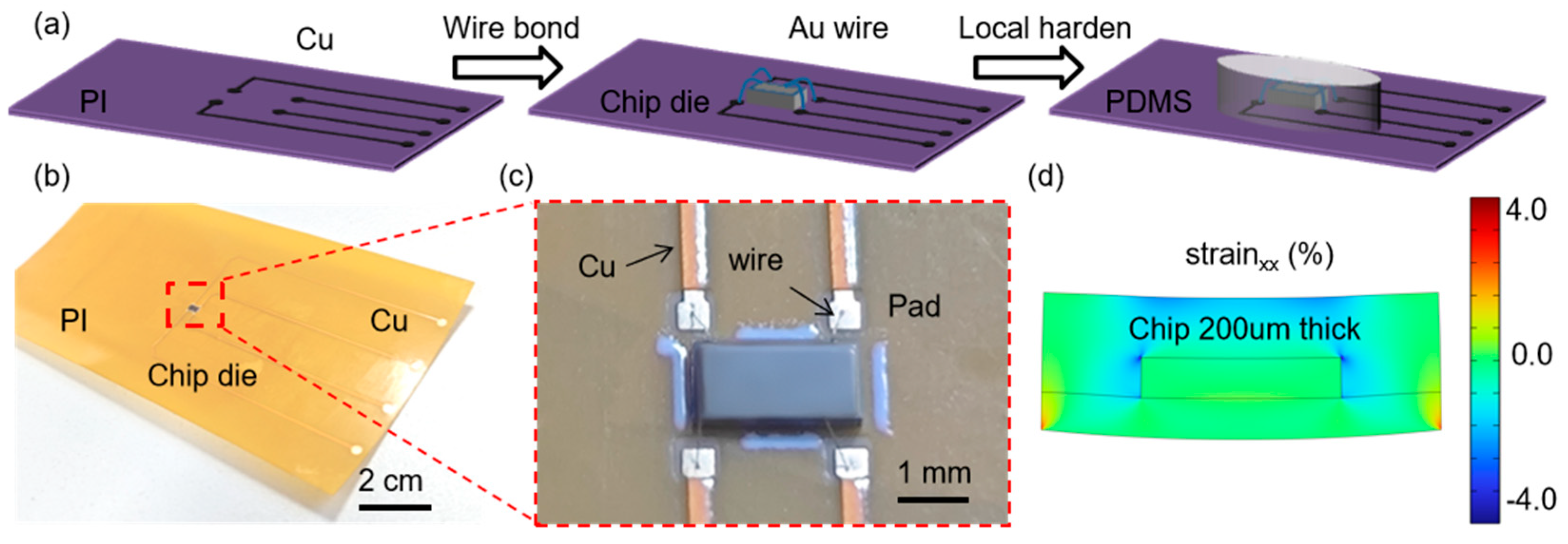 Preprints 172447 g005