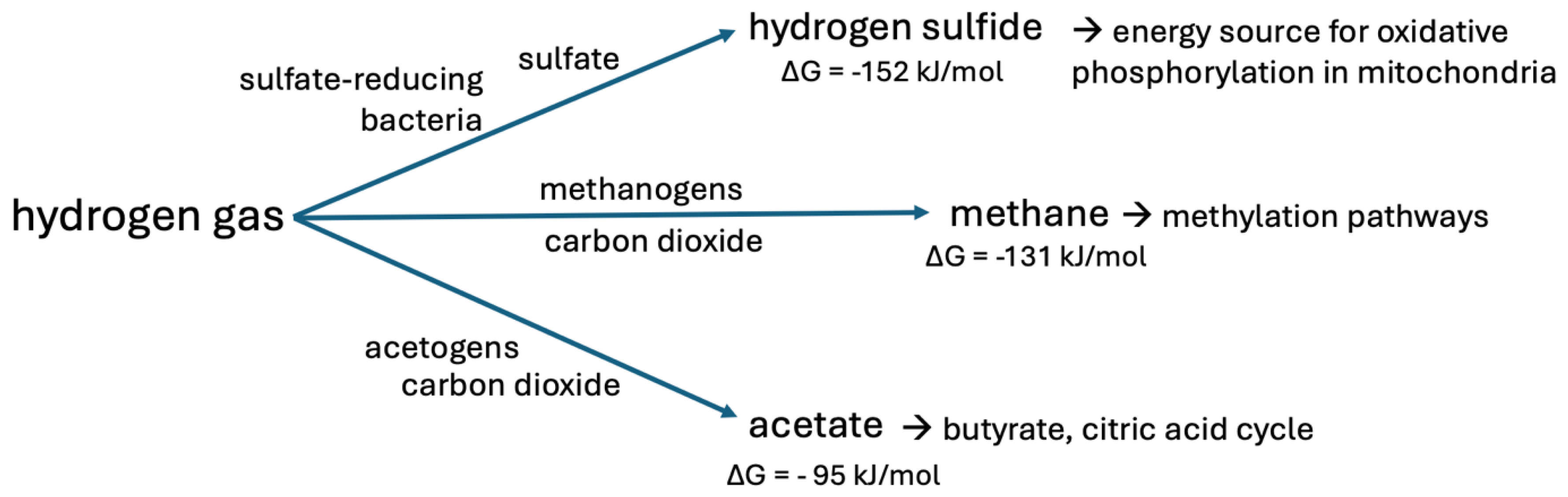 Preprints 177992 g001