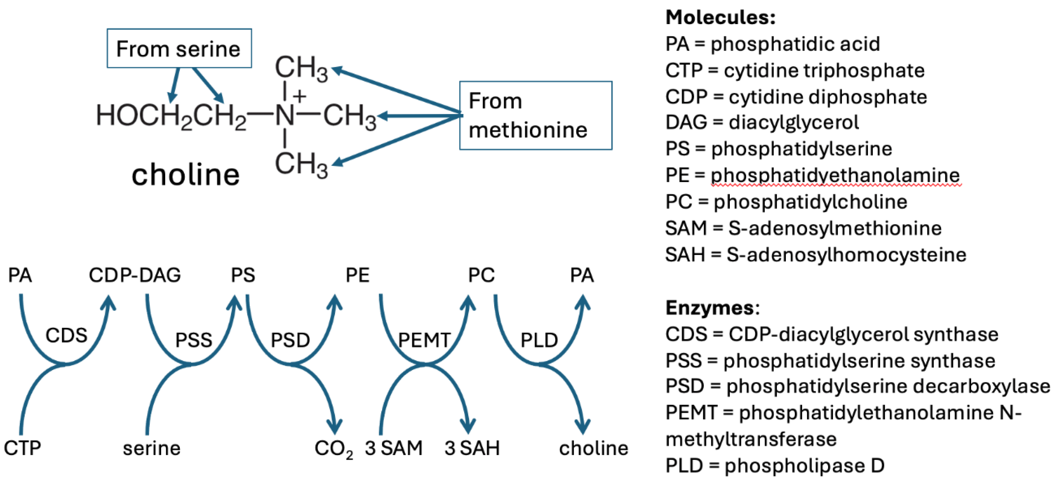 Preprints 177992 g003