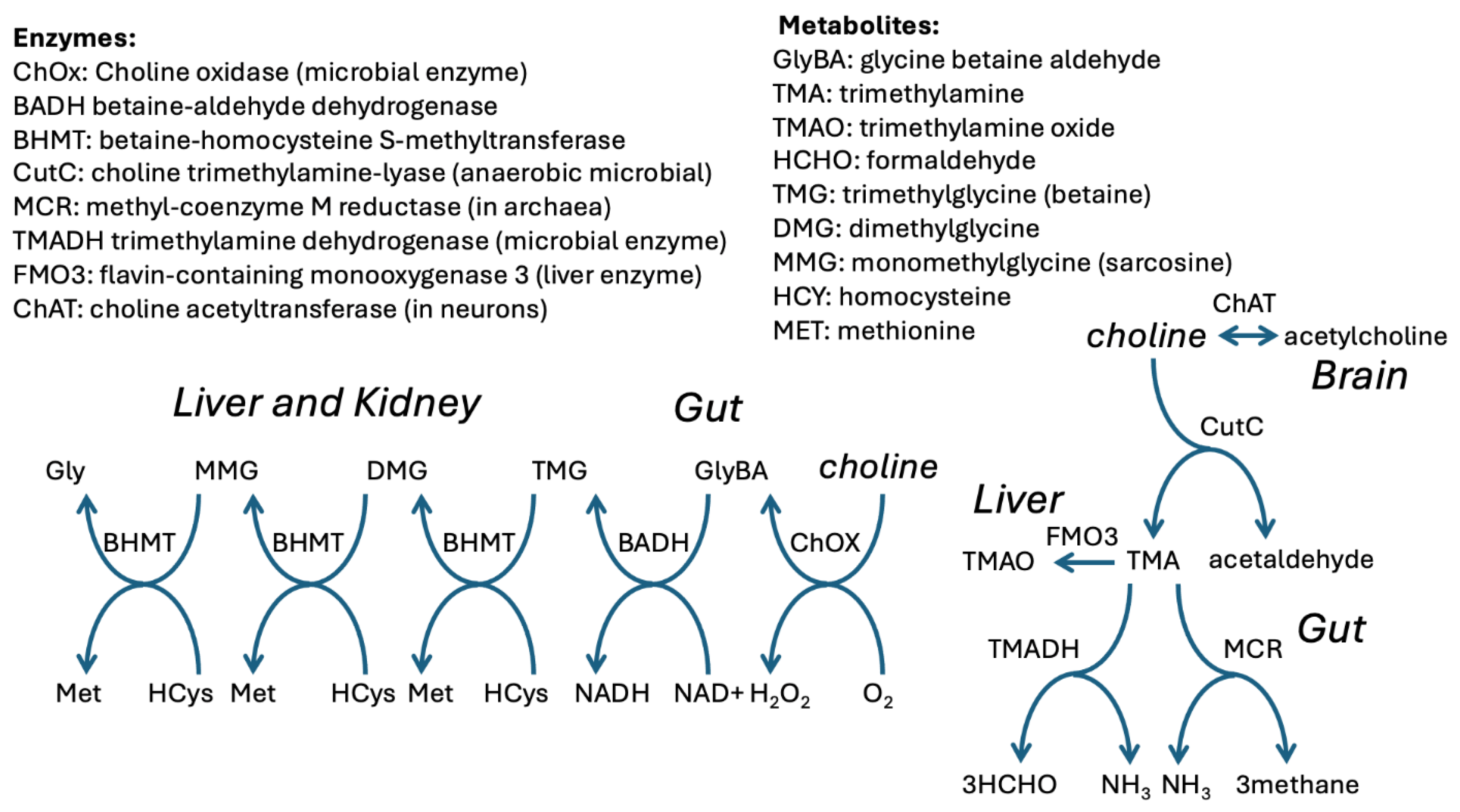 Preprints 177992 g005