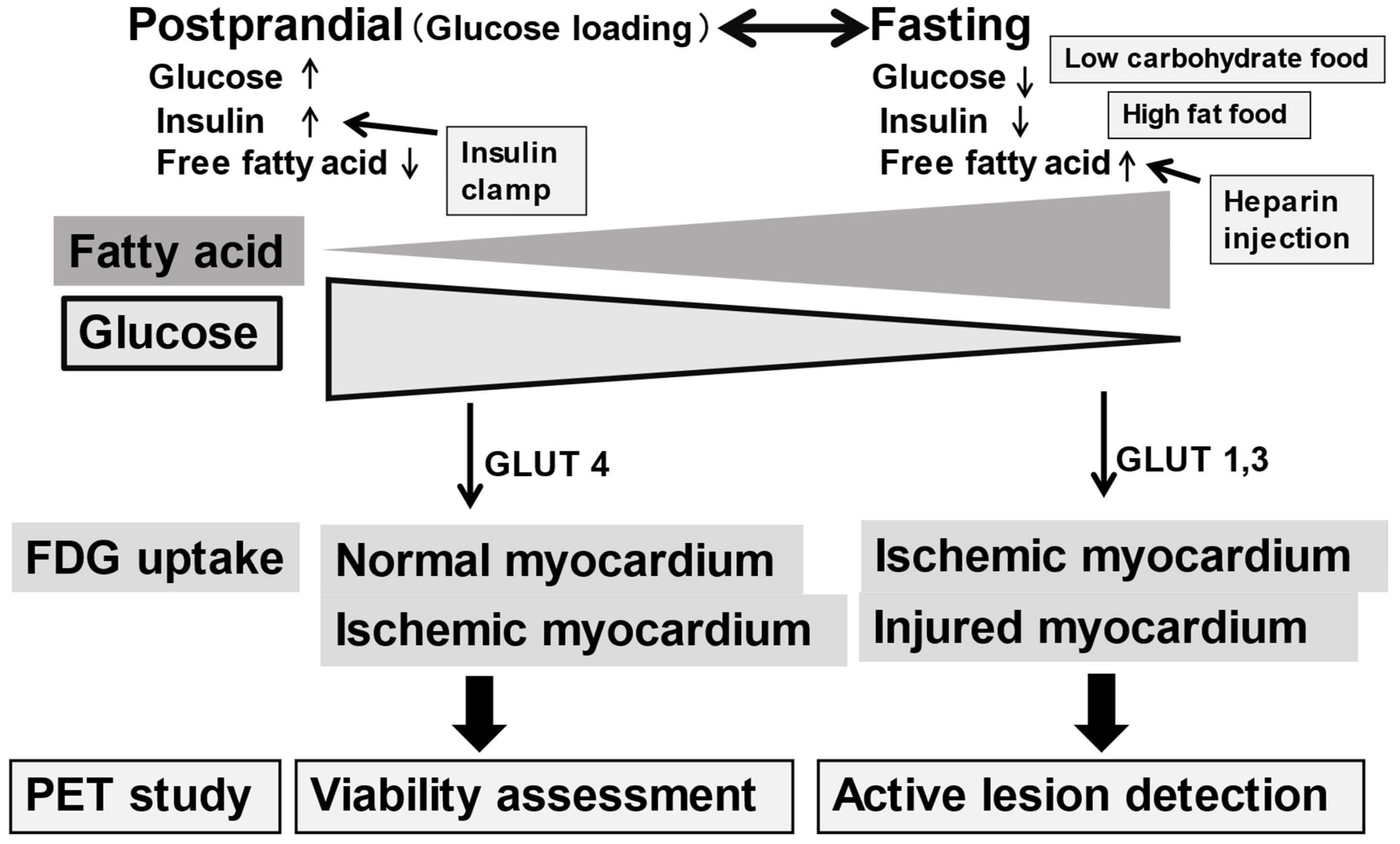 Preprints 121208 g001