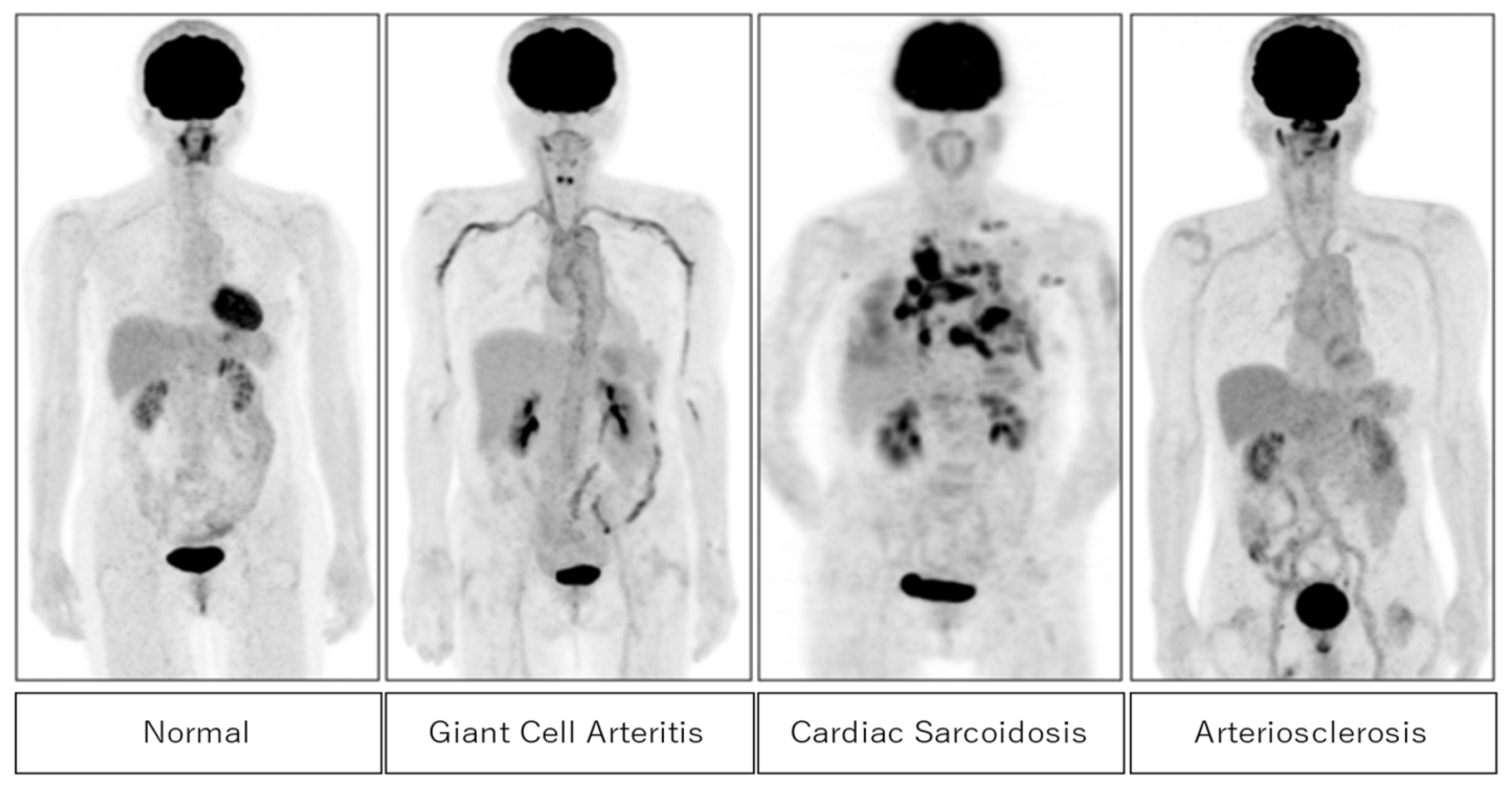 Preprints 121208 g002