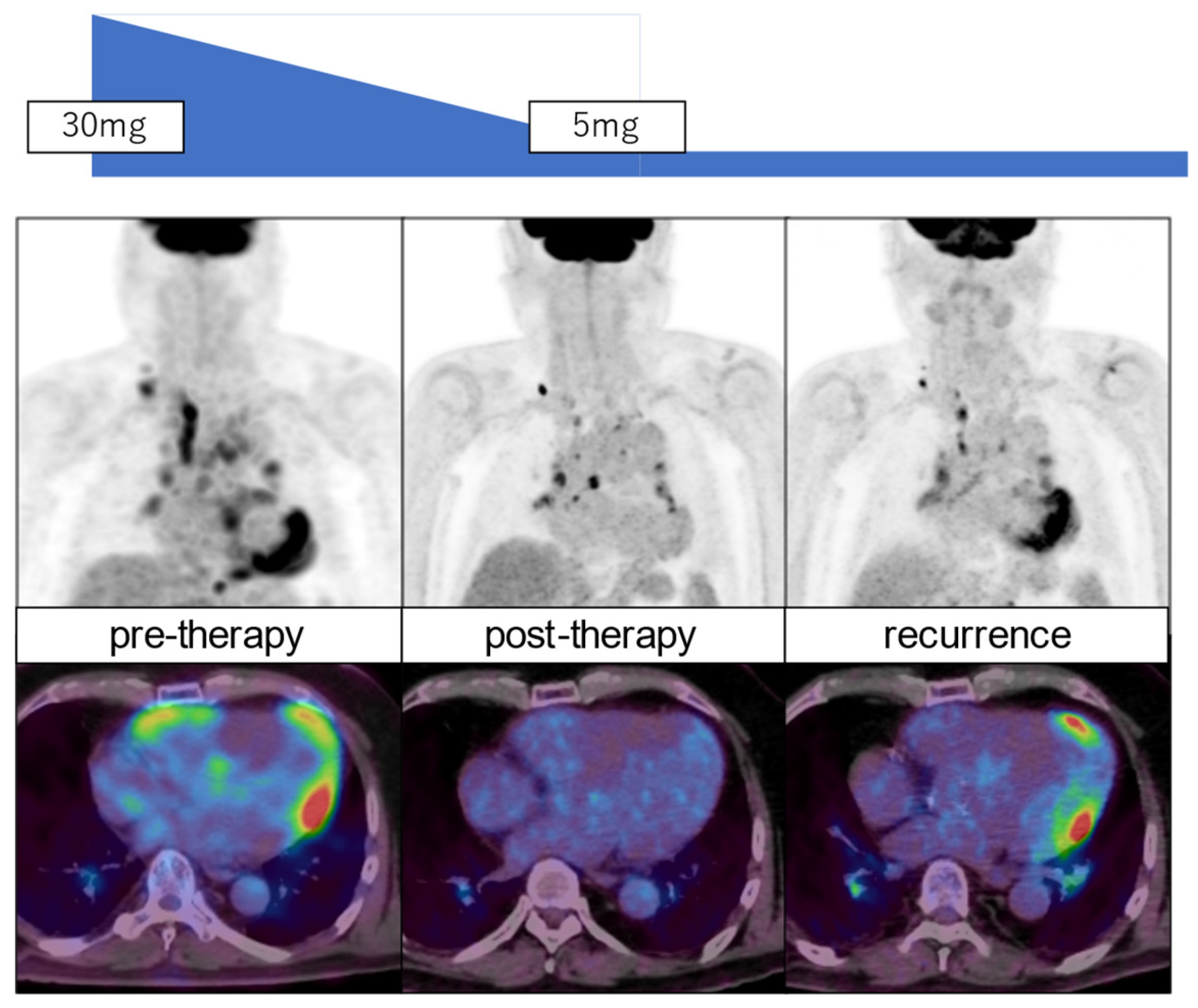 Preprints 121208 g003