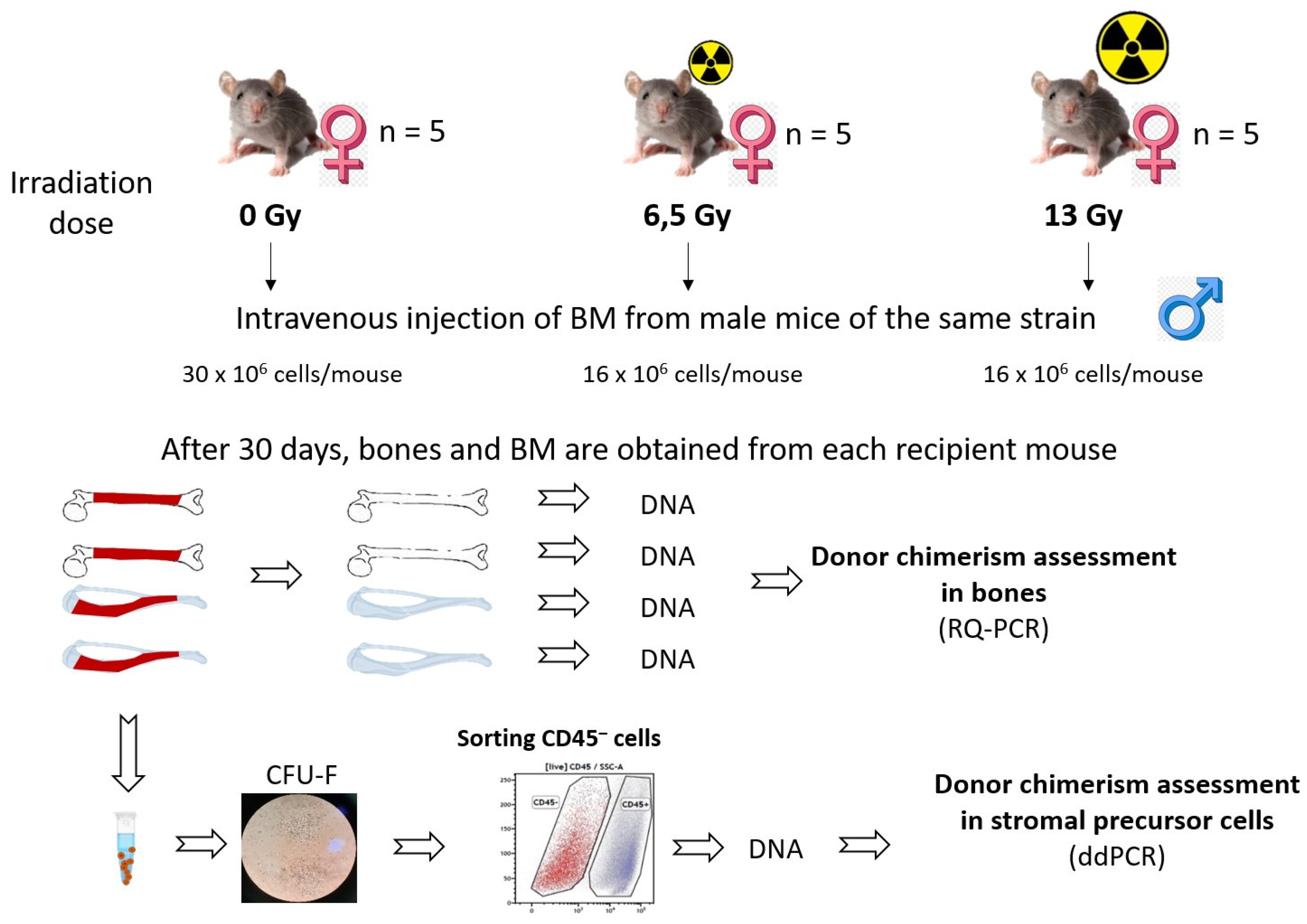 Preprints 149434 g001