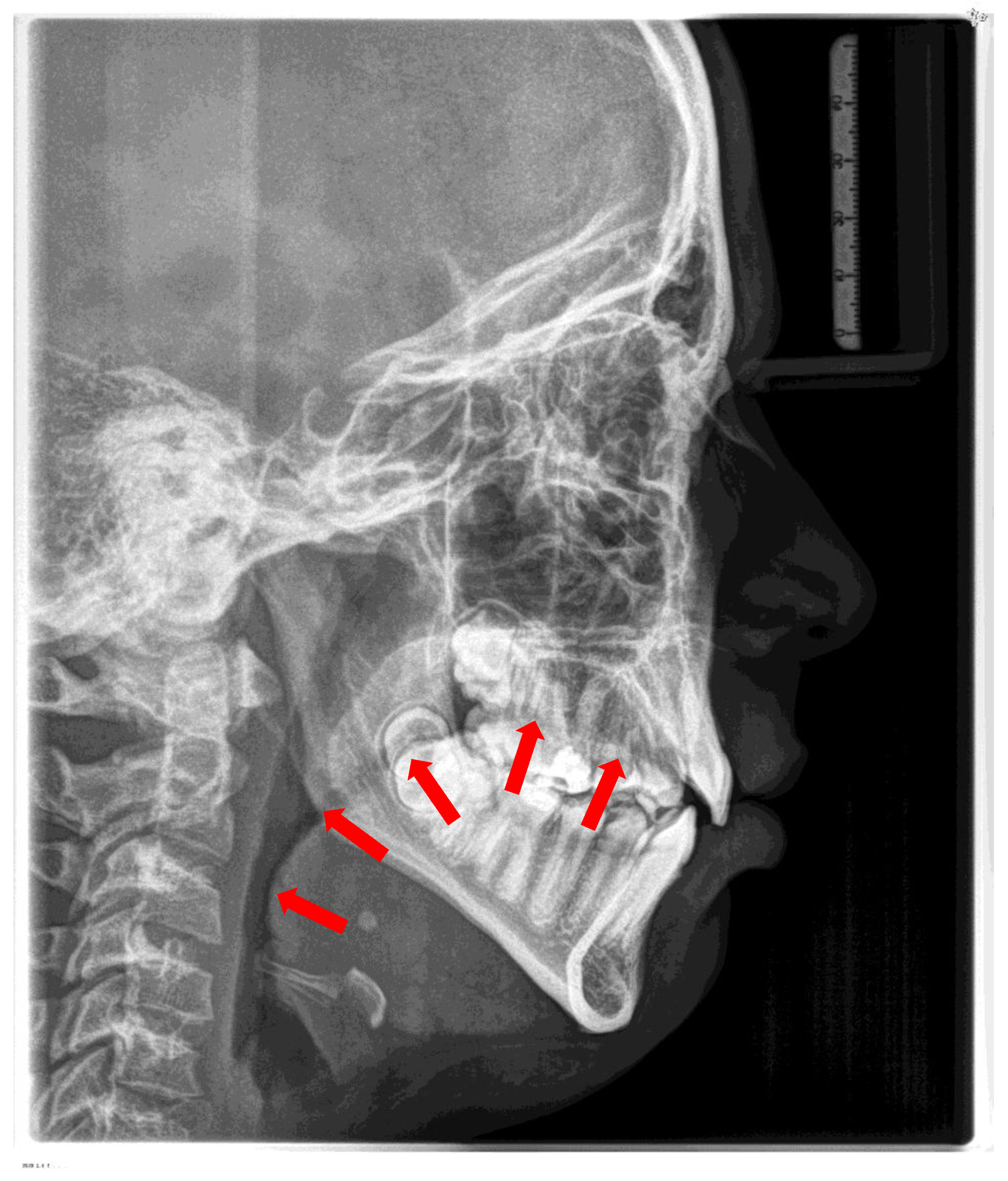 Preprints 168277 g002