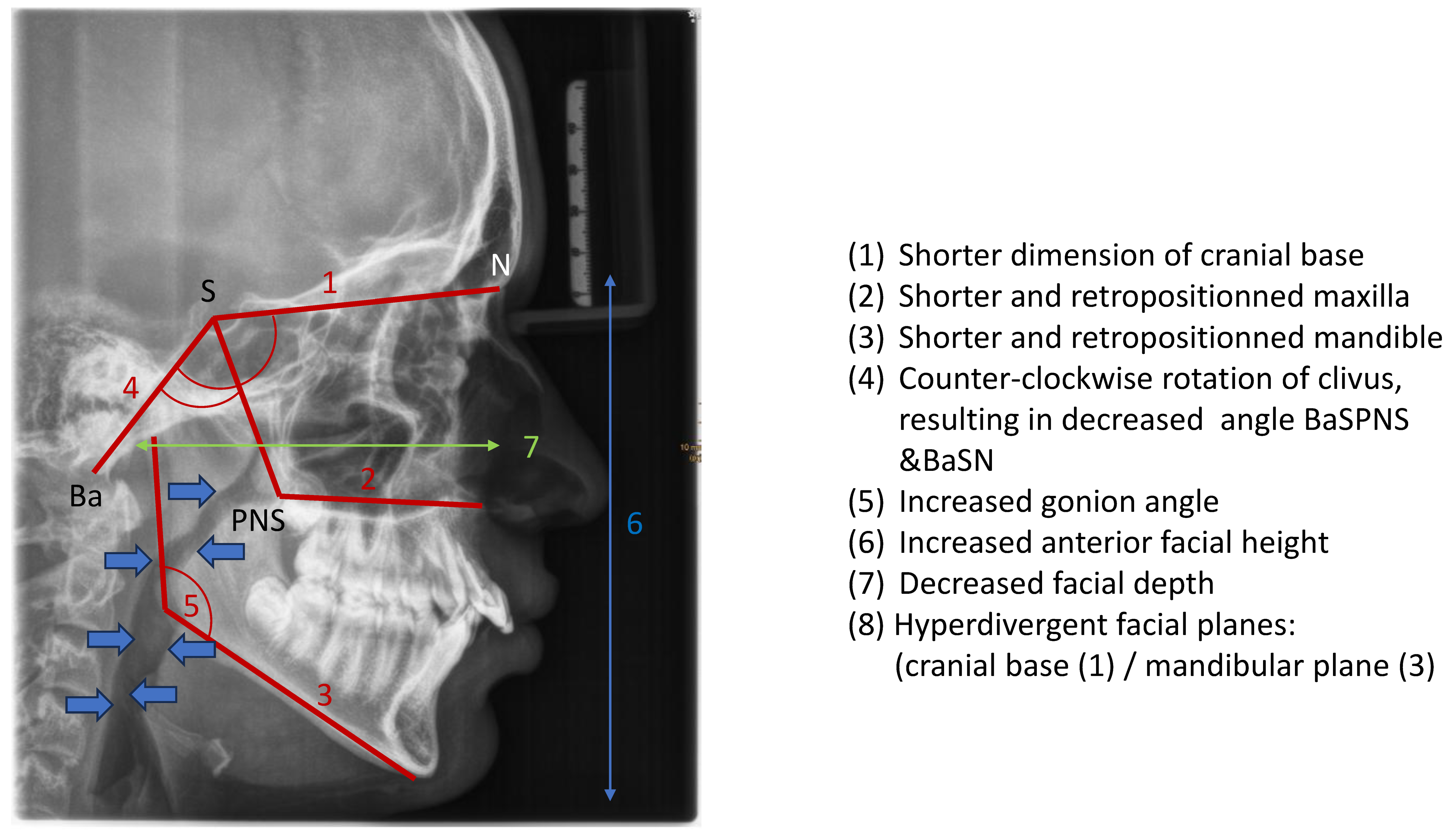 Preprints 168277 g003