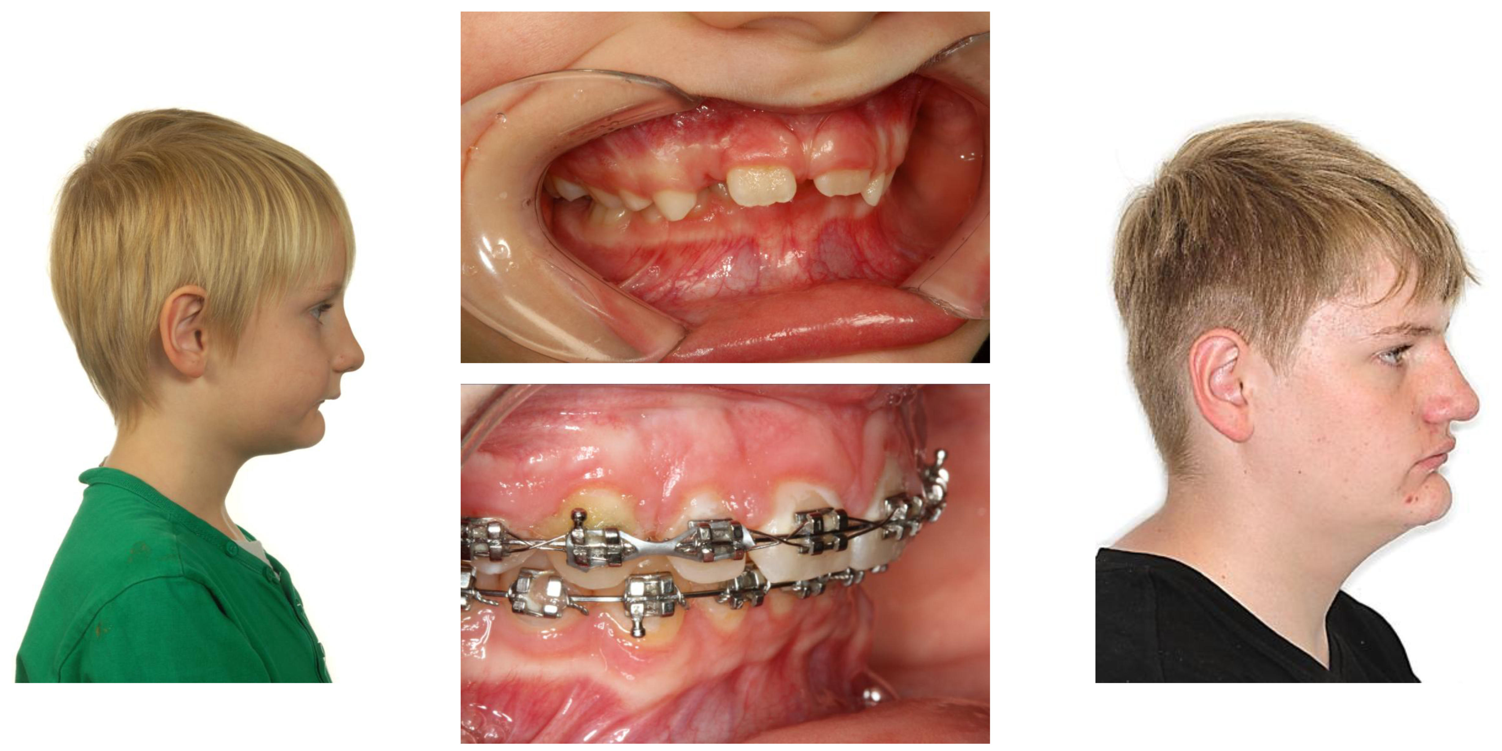 Preprints 168277 g004