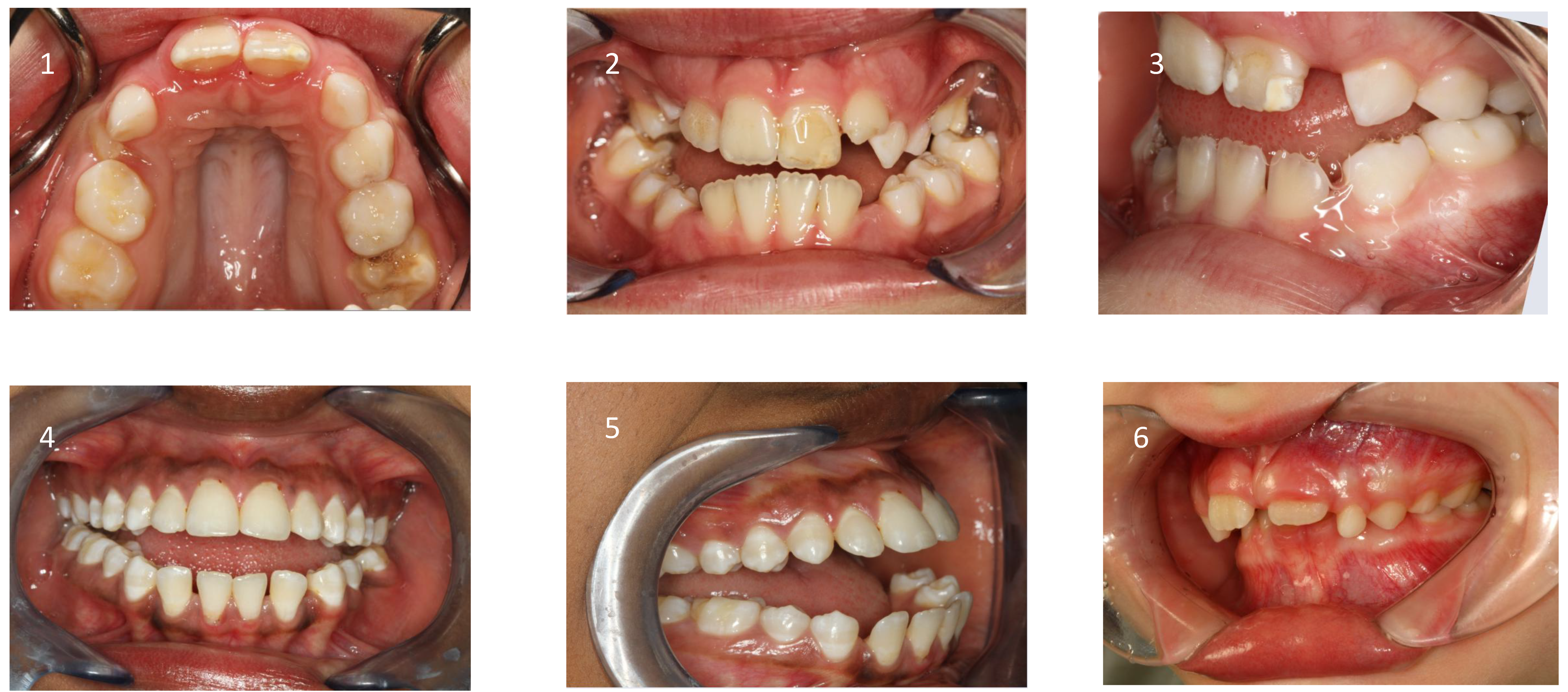 Preprints 168277 g005