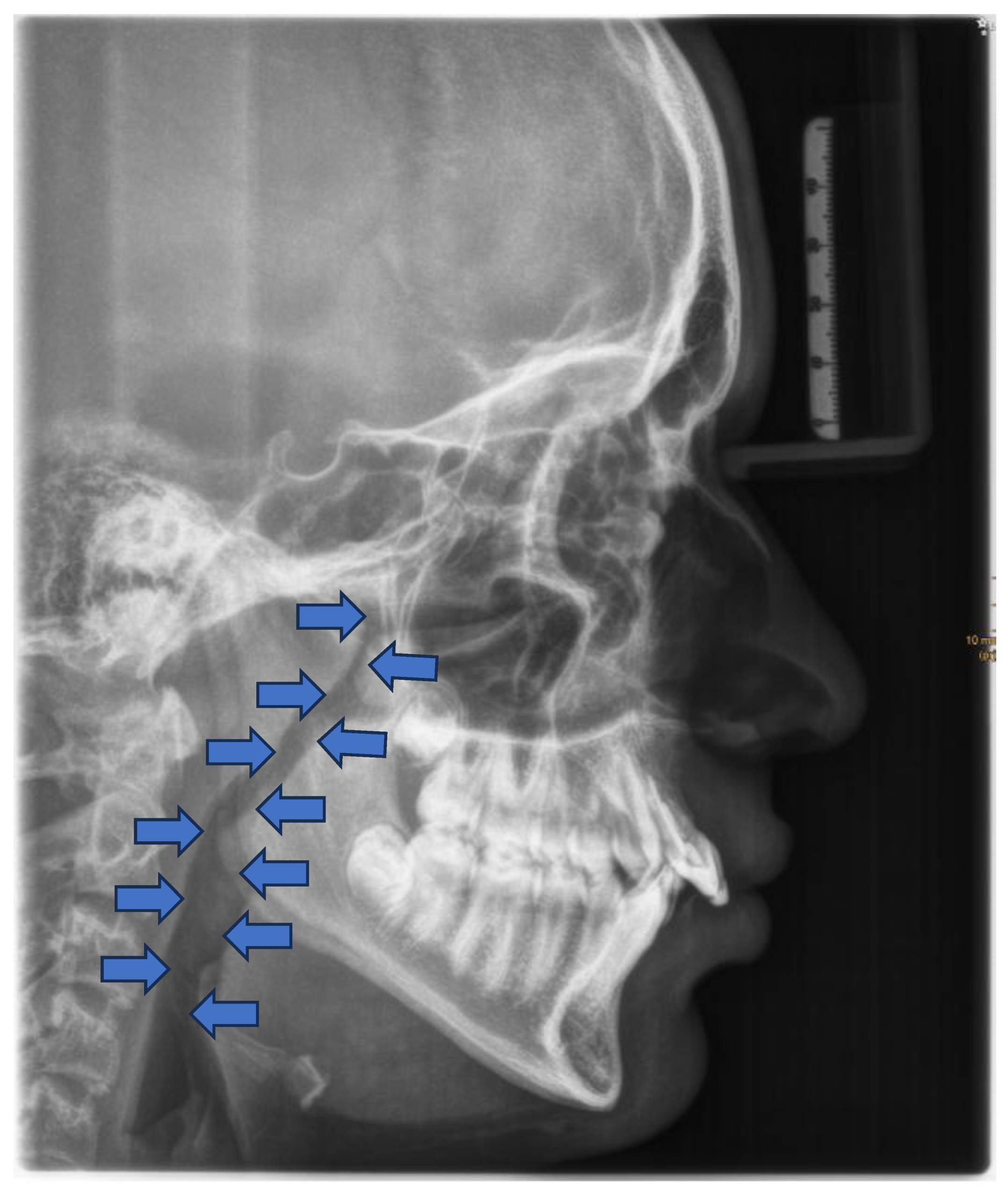 Preprints 168277 g006