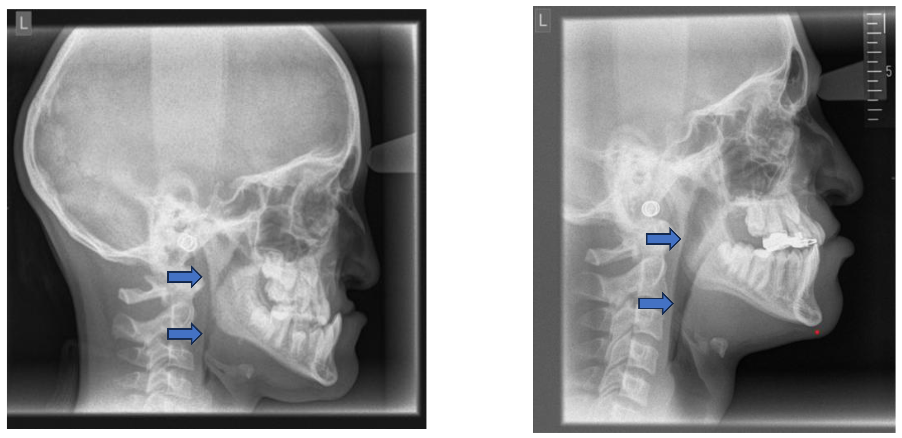 Preprints 168277 g012