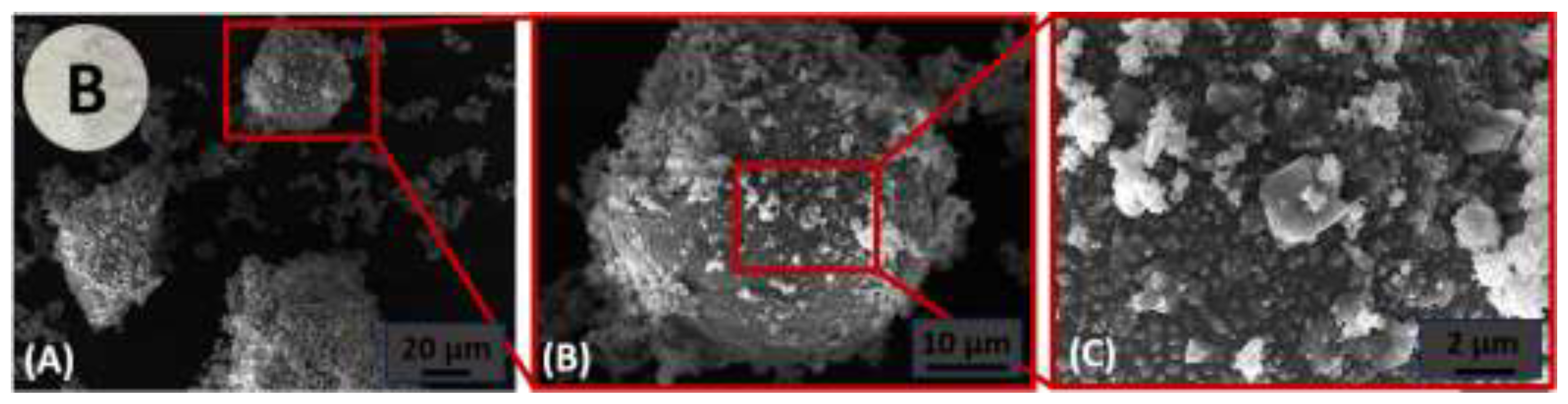 Preprints 140012 g005