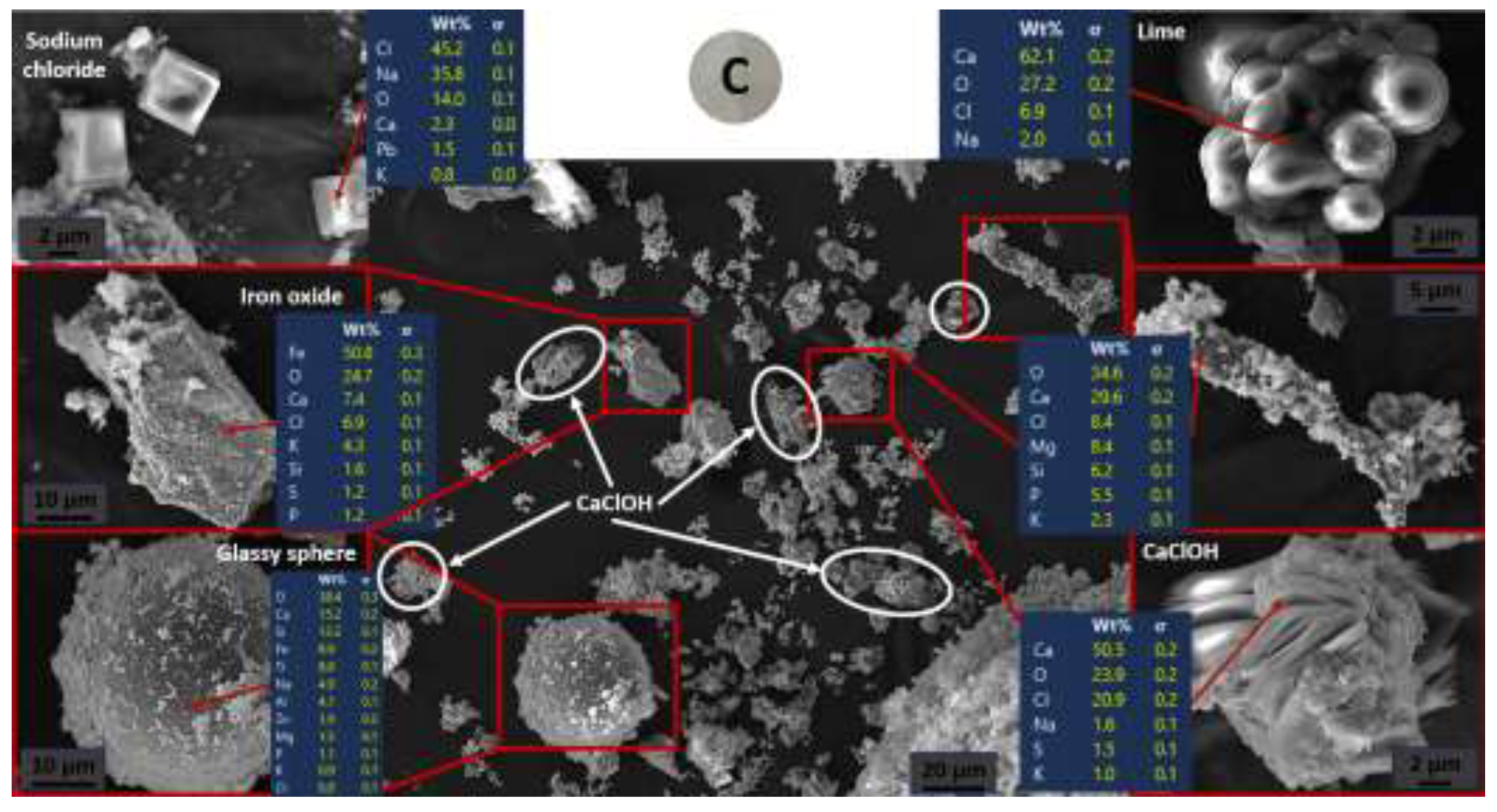 Preprints 140012 g006