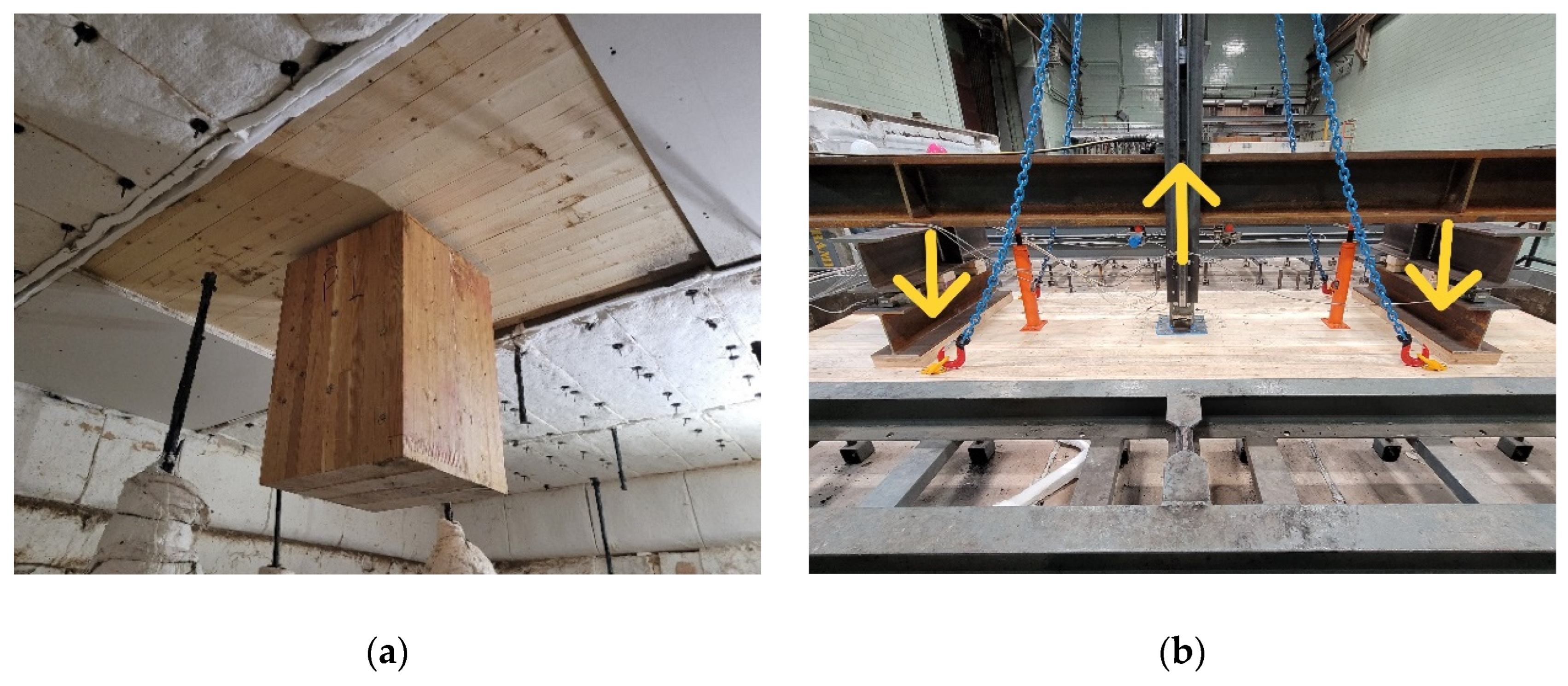 Preprints 209055 g009