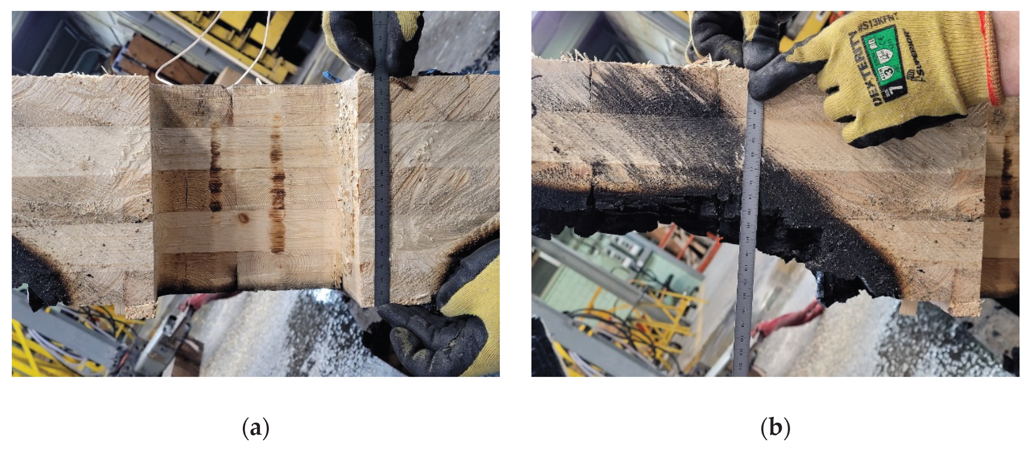 Preprints 209055 g025