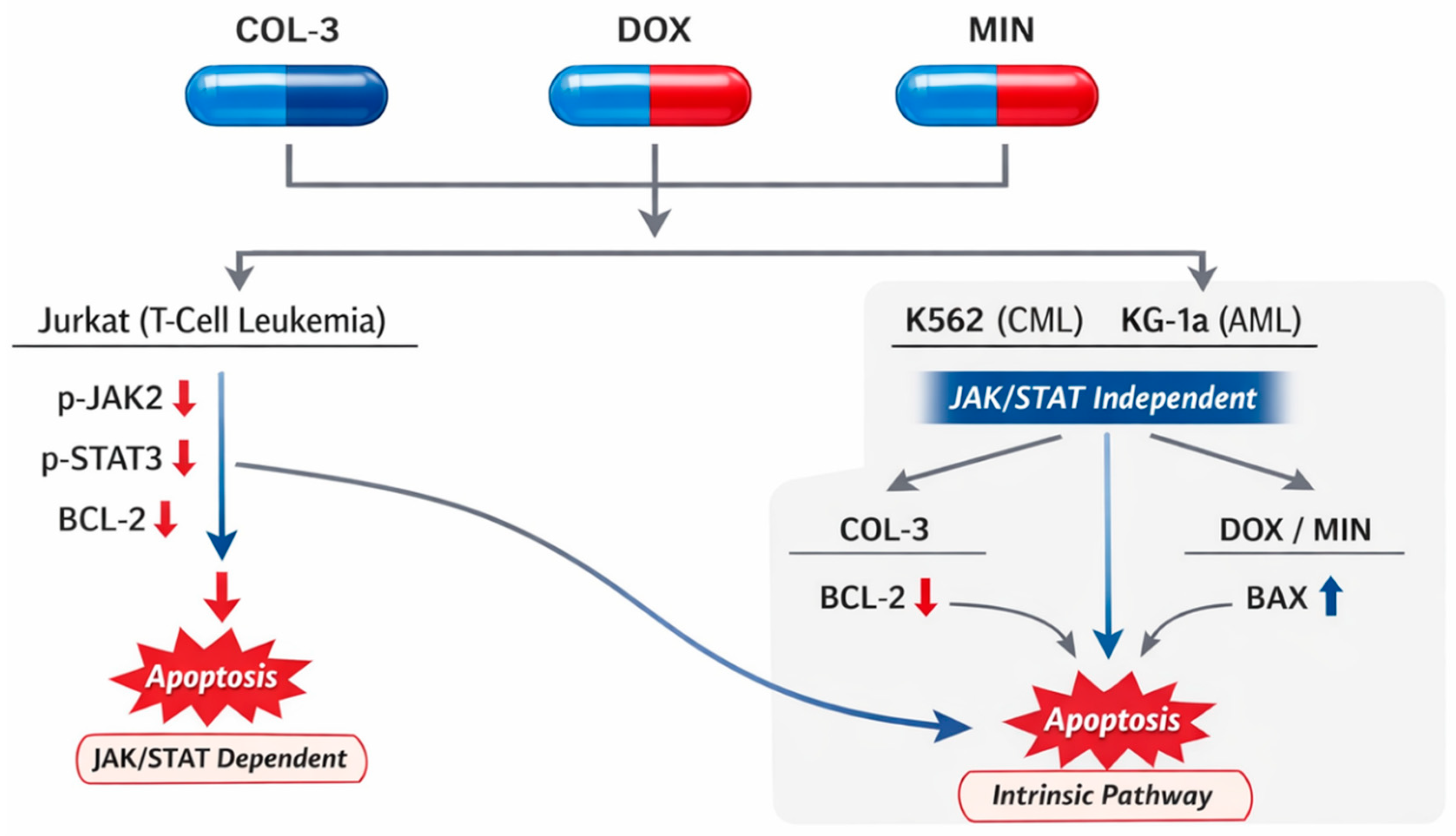 Preprints 199491 g001