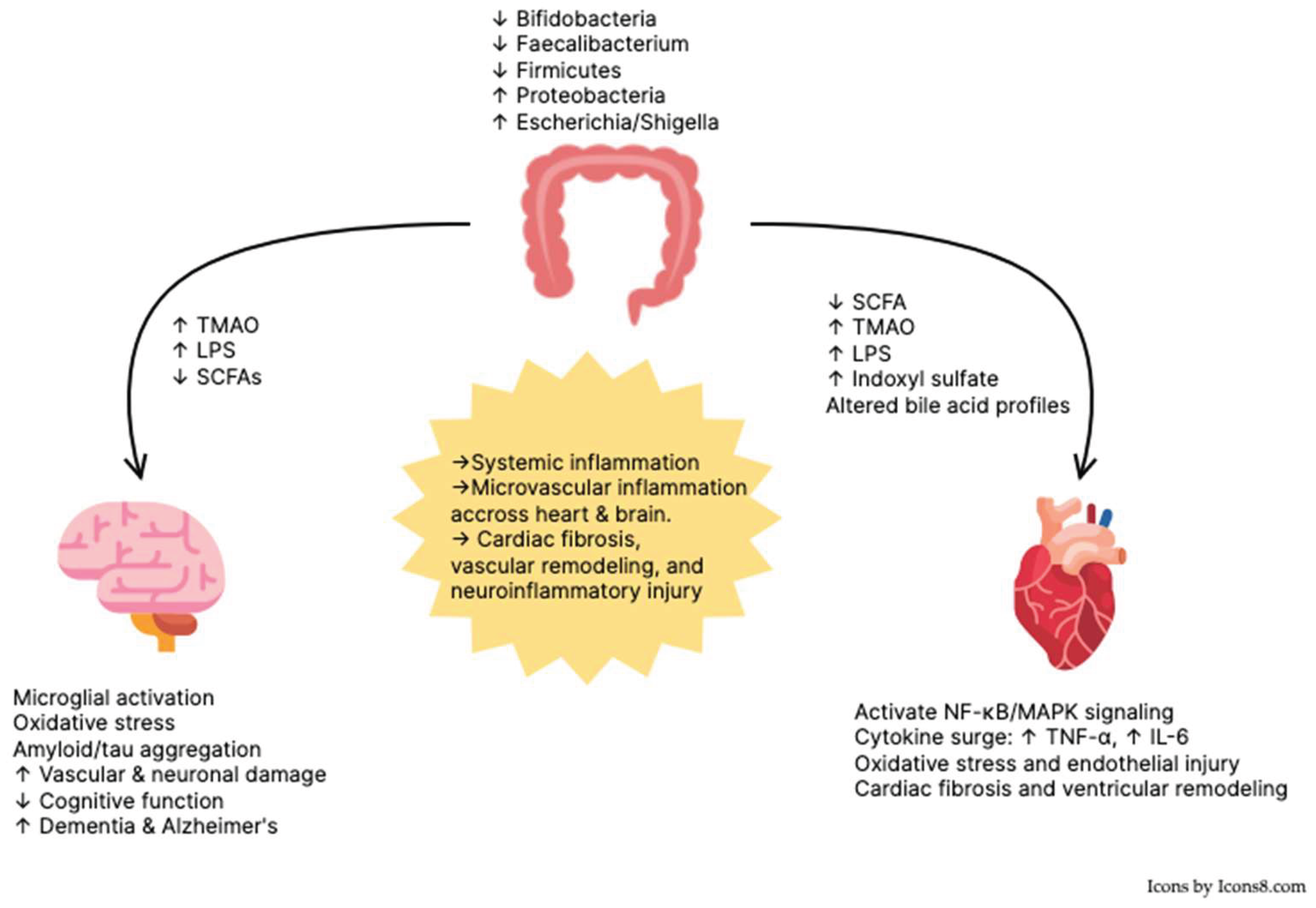 Preprints 183024 g001