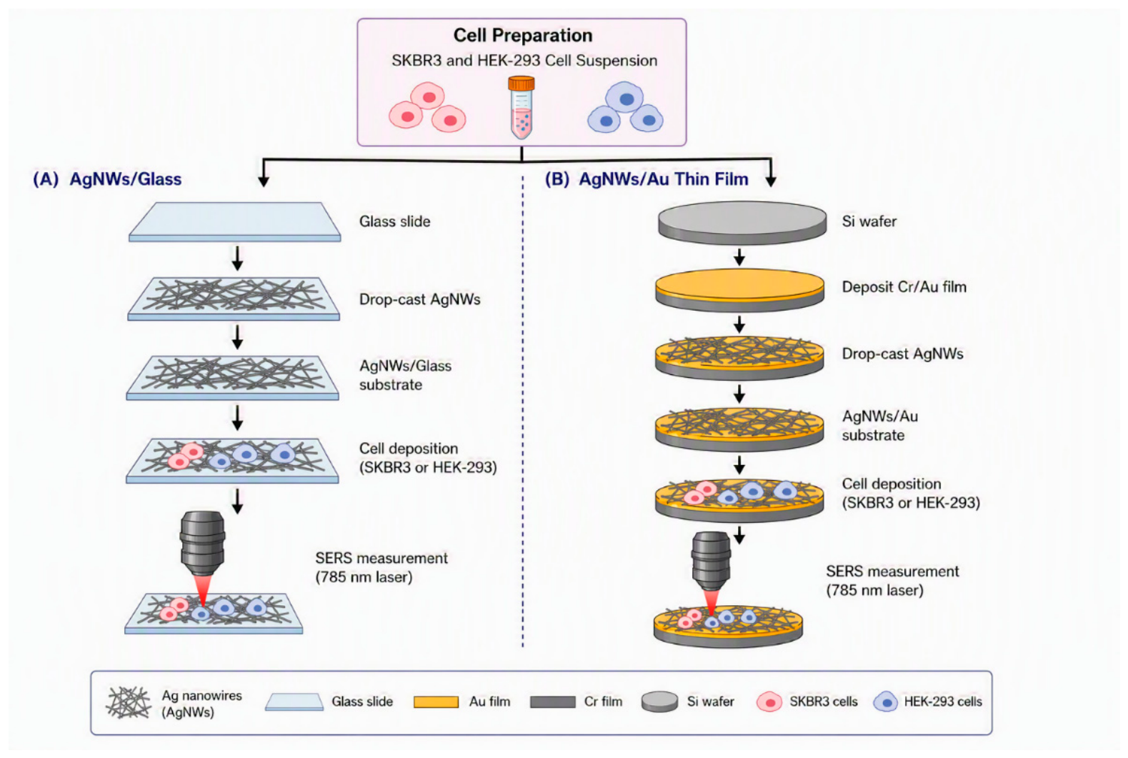 Preprints 226783 g001