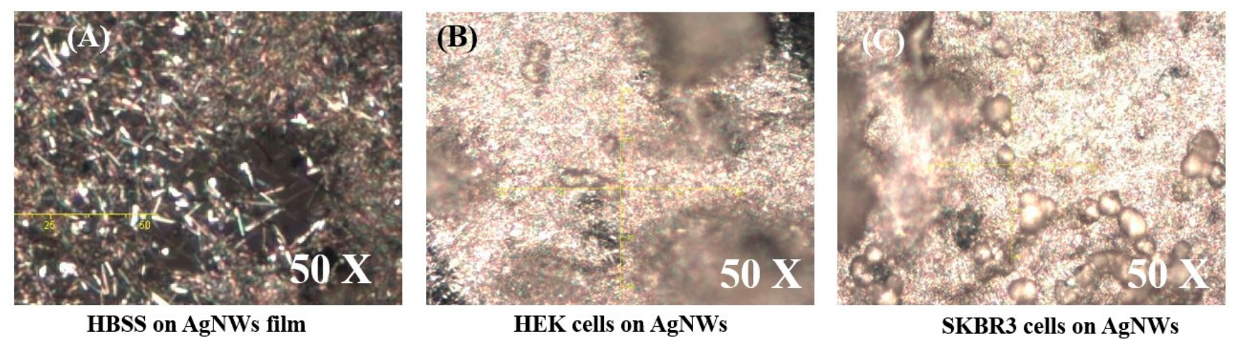 Preprints 226783 g003