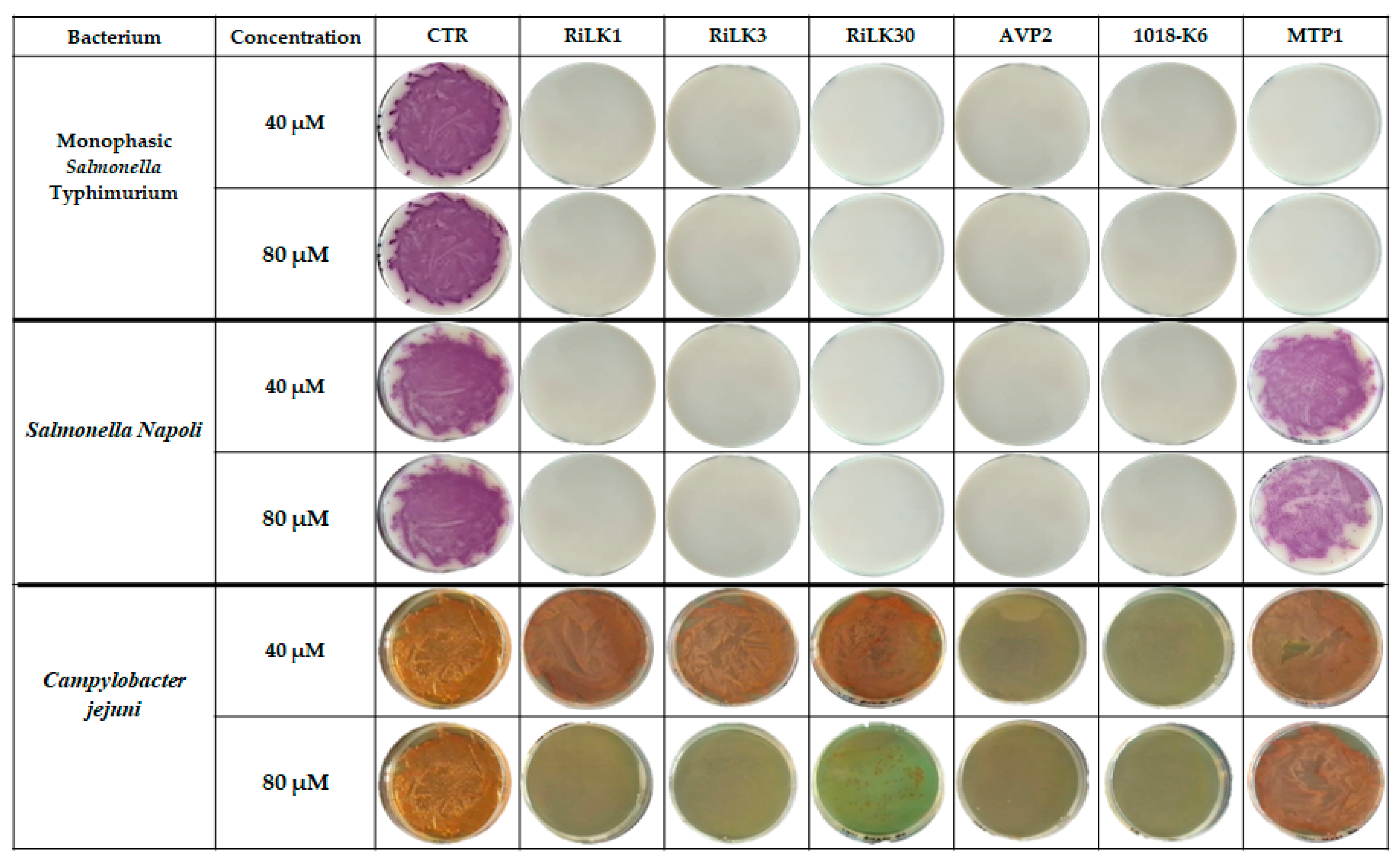 Preprints 103682 g007