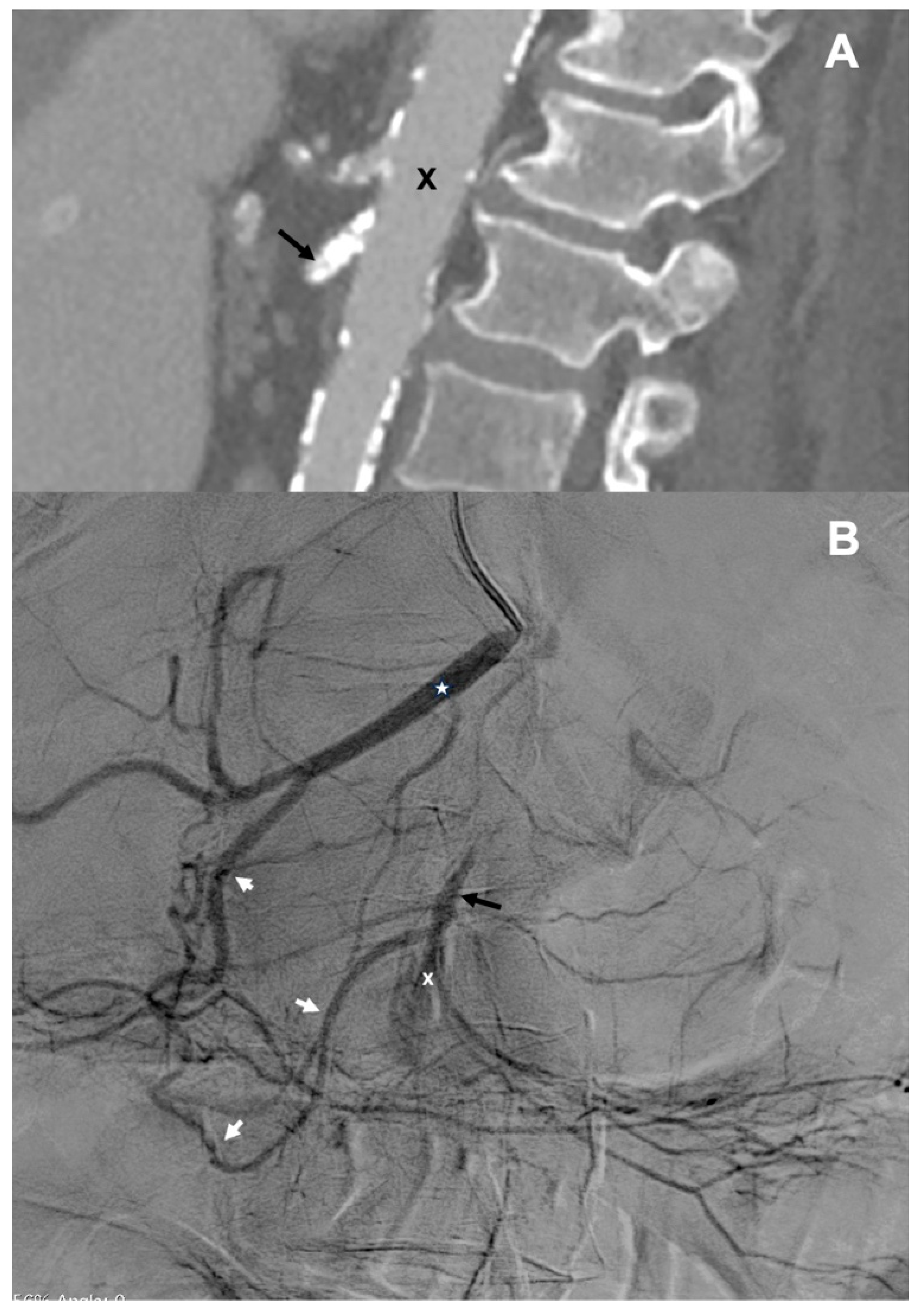 Preprints 97251 g001