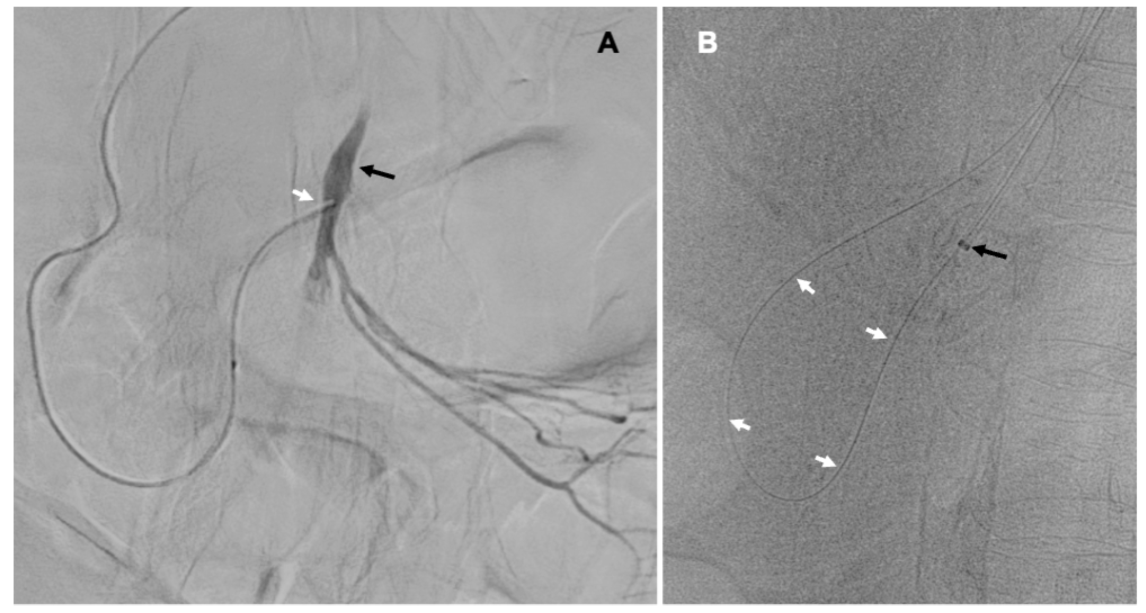 Preprints 97251 g002