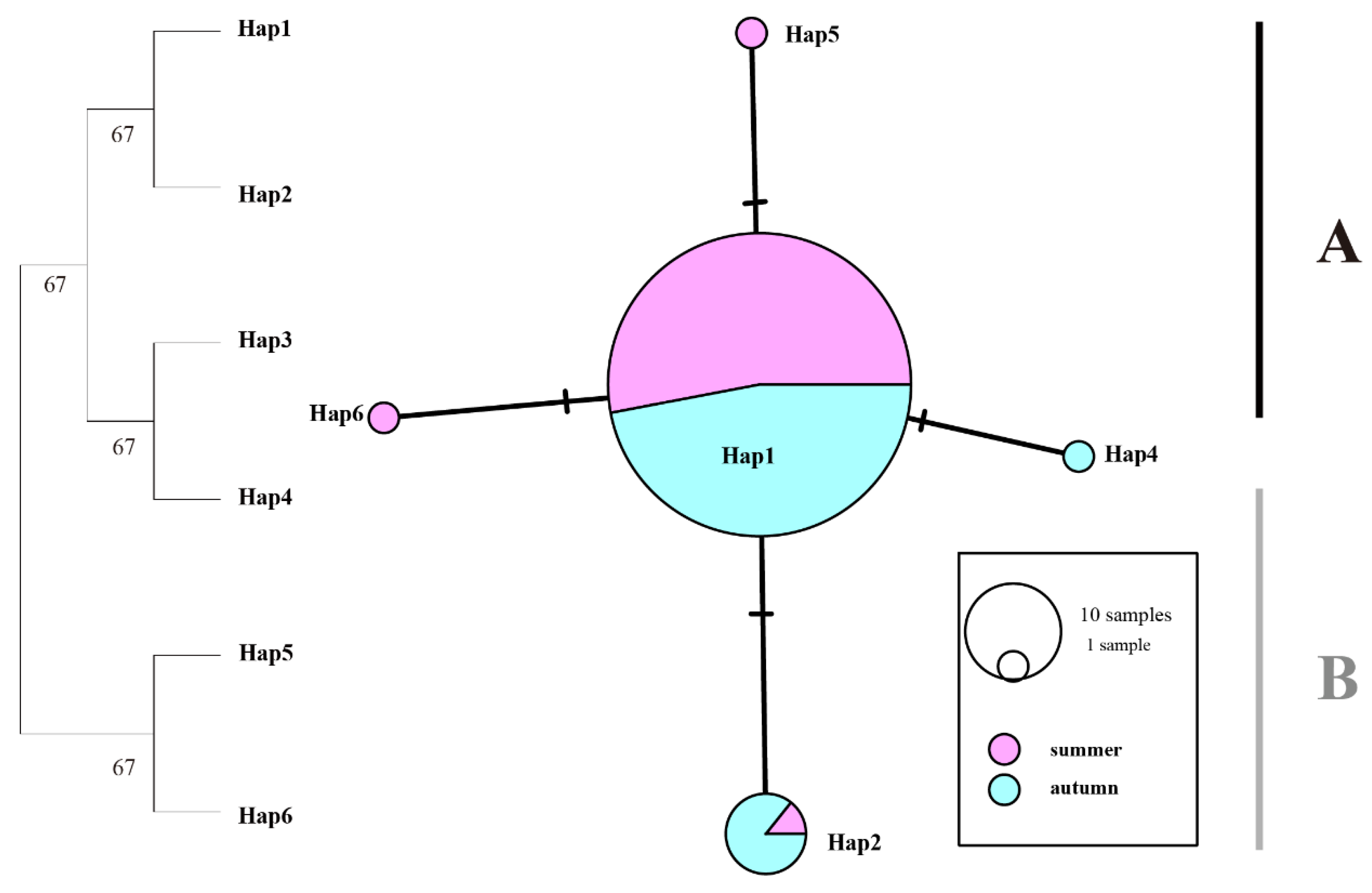 Preprints 191353 g003