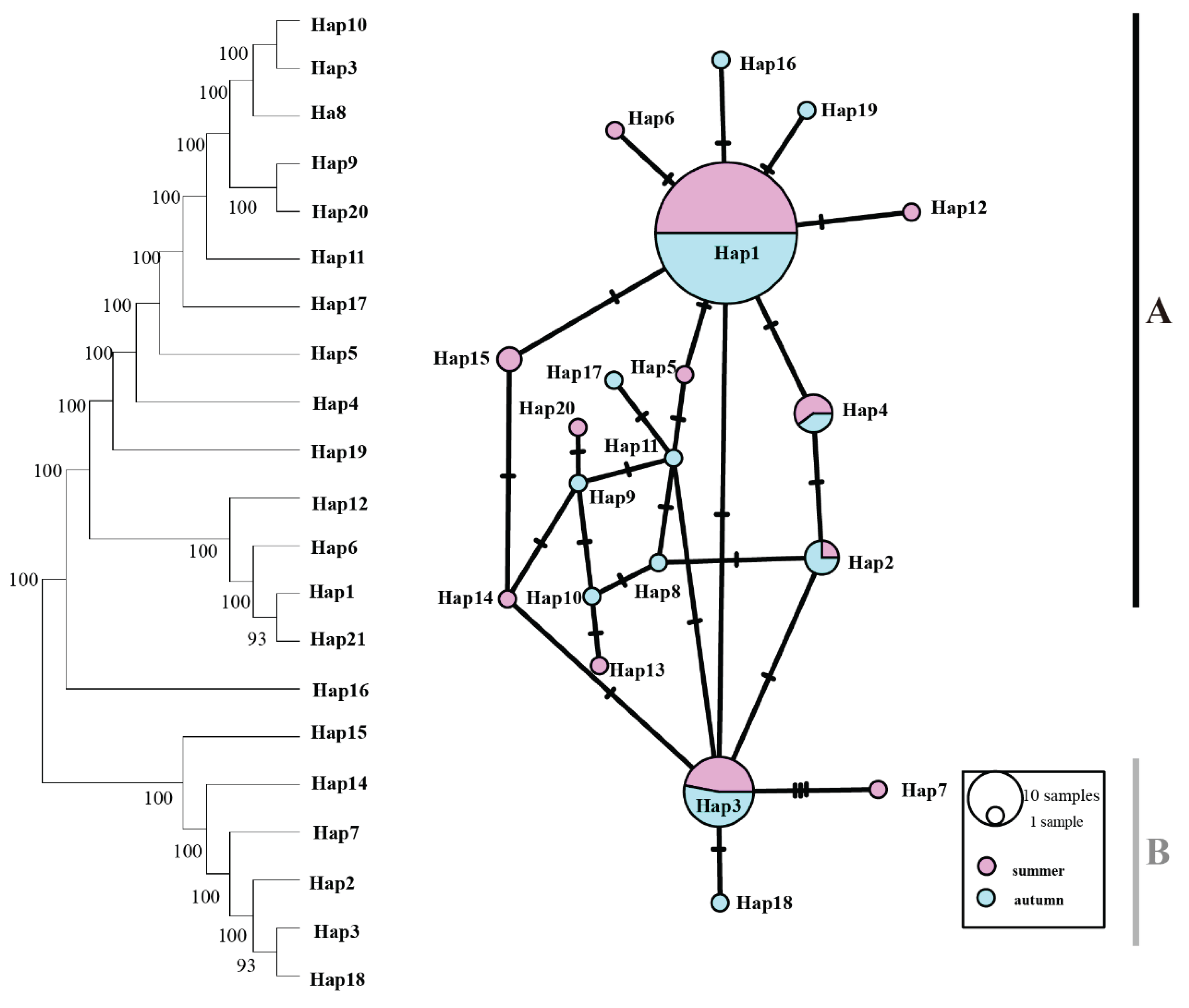 Preprints 191353 g004