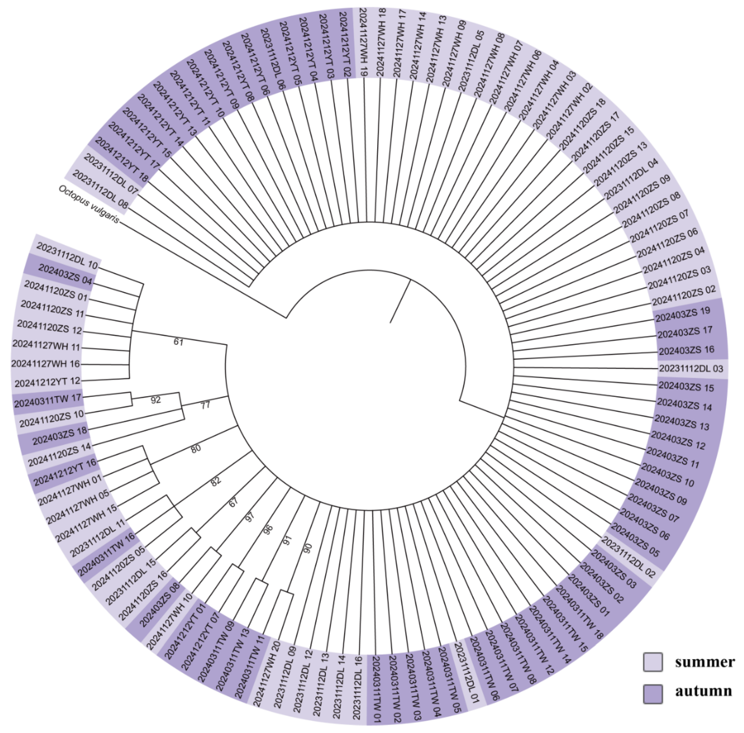 Preprints 191353 g005