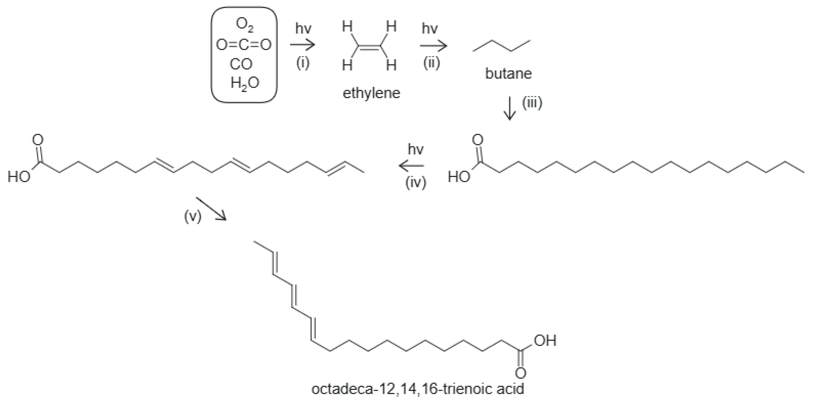 Preprints 194379 g005