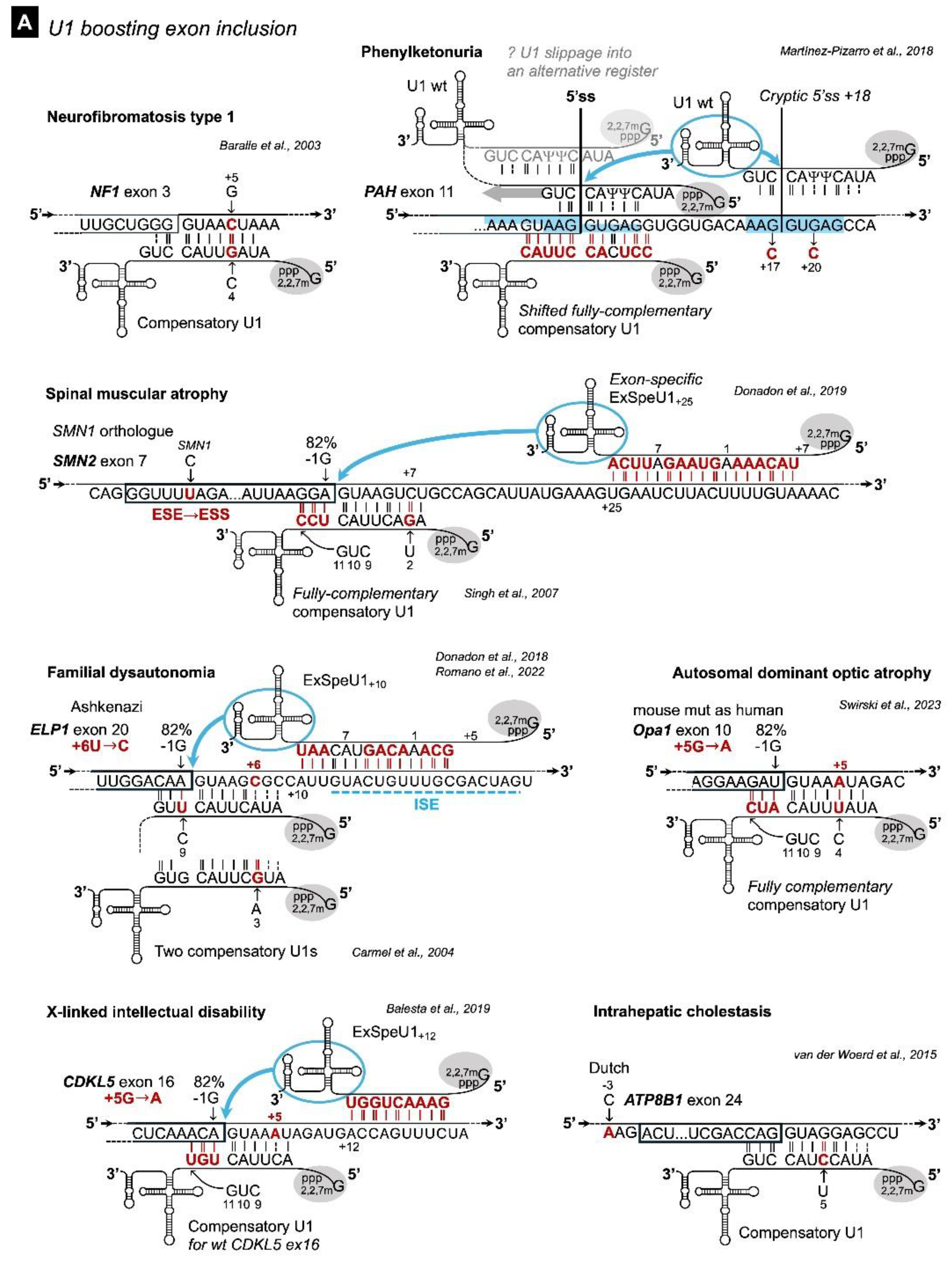 Preprints 234006 g010a Preprints 234006 g010a