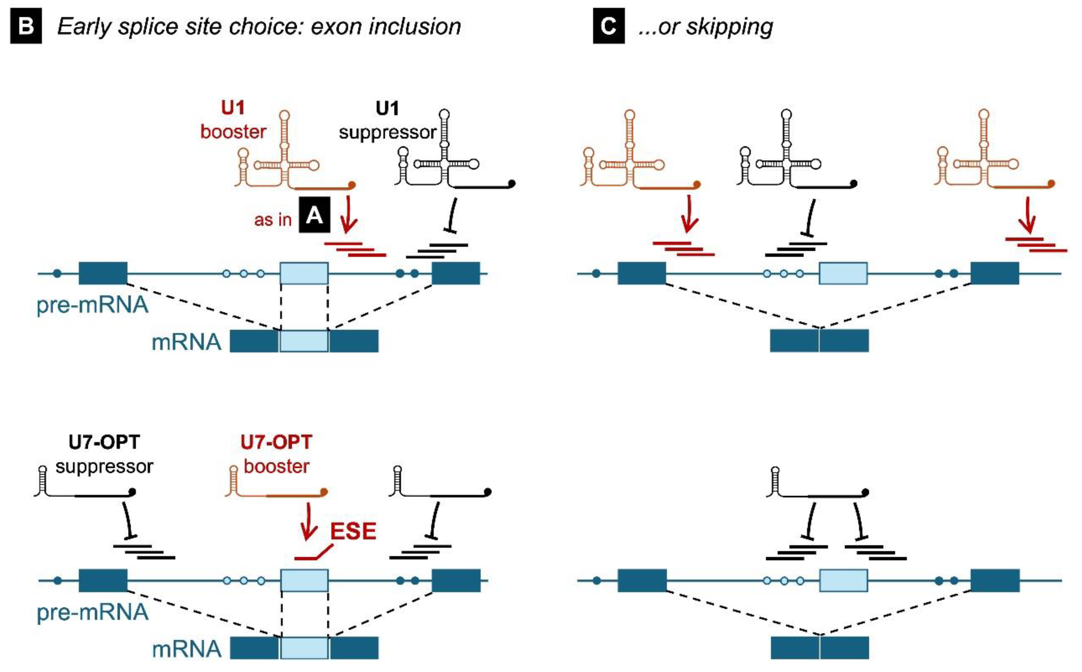 Preprints 234006 g010b