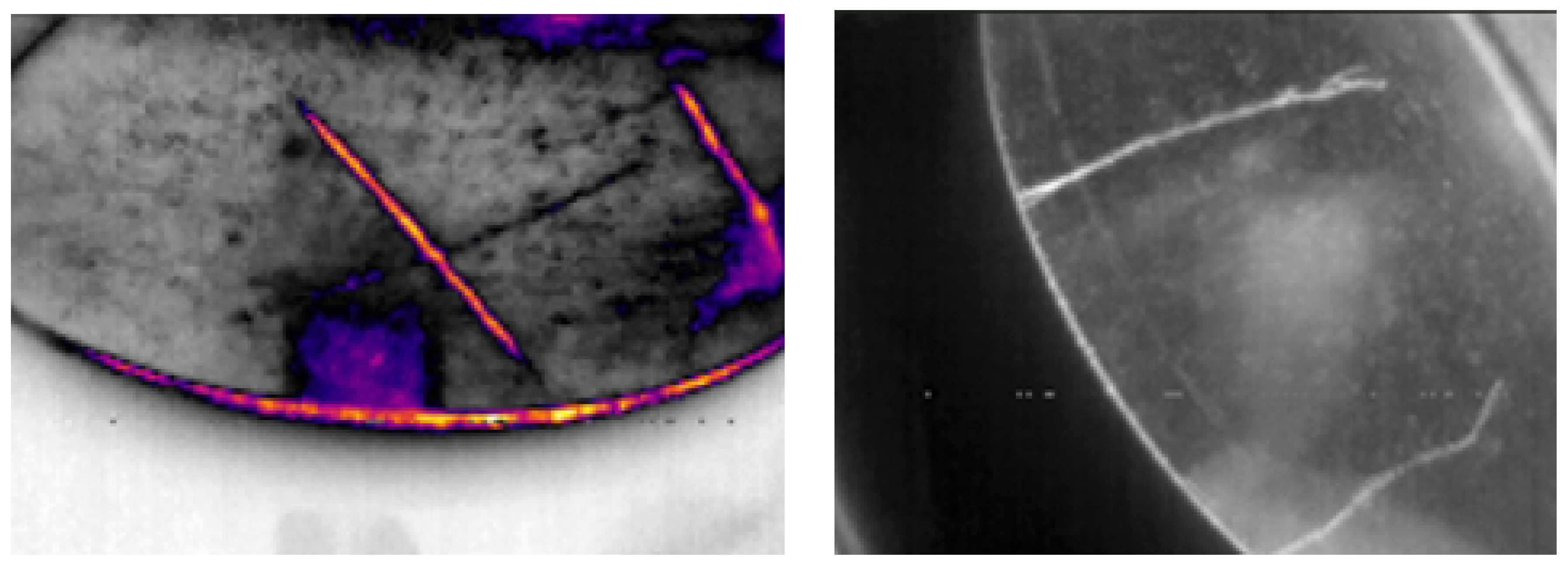 Preprints 180597 g003