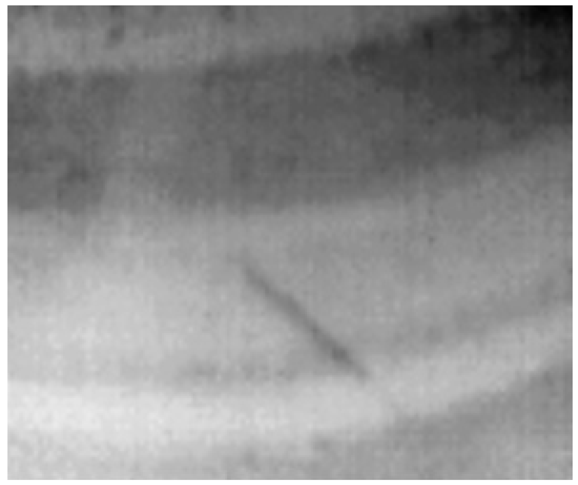 Preprints 180597 g005