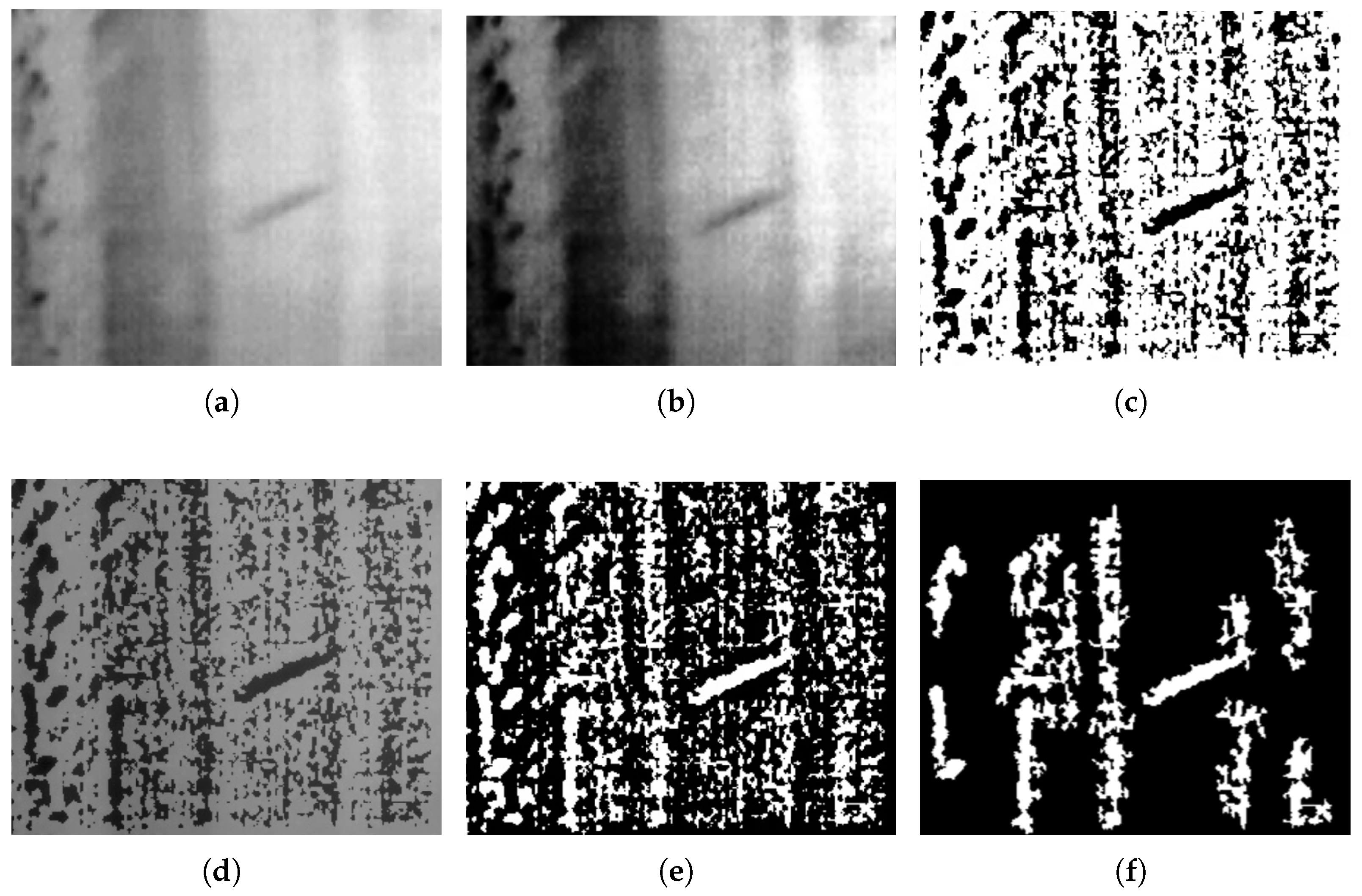 Preprints 180597 g006