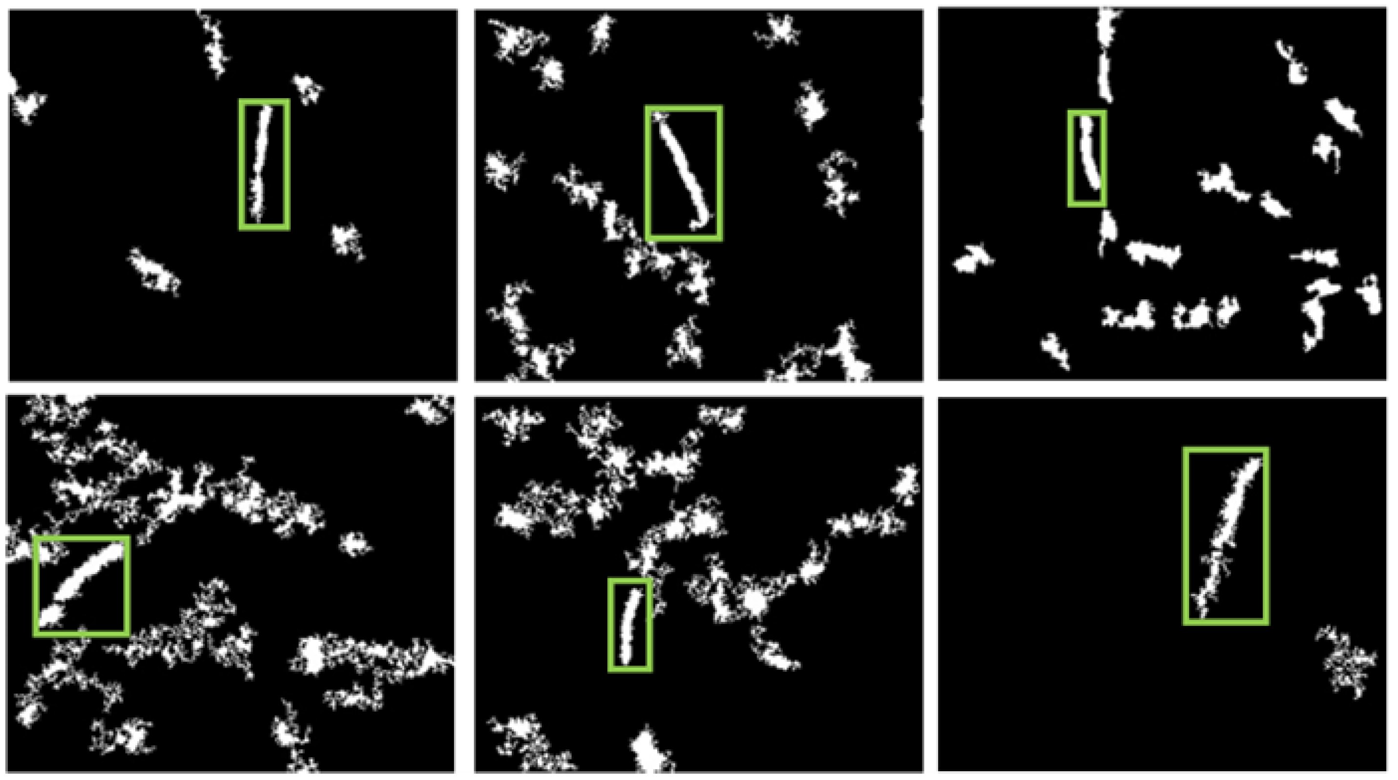 Preprints 180597 g007