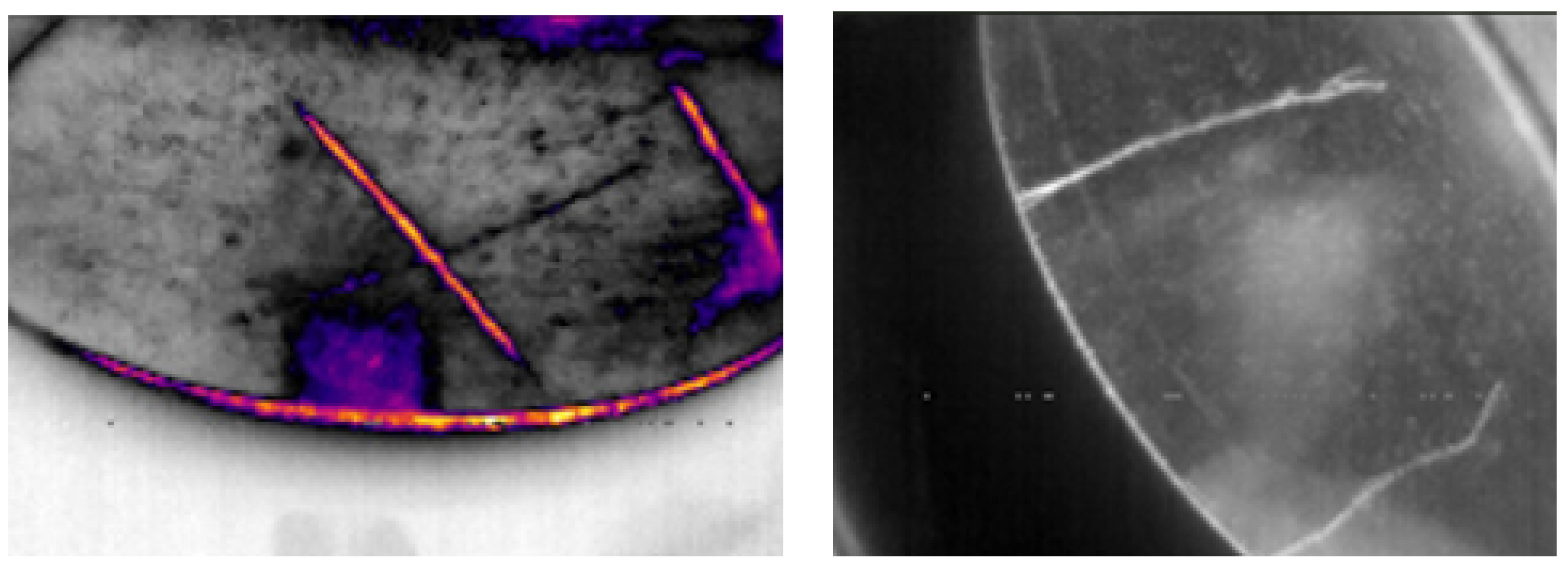 Preprints 180597 g009