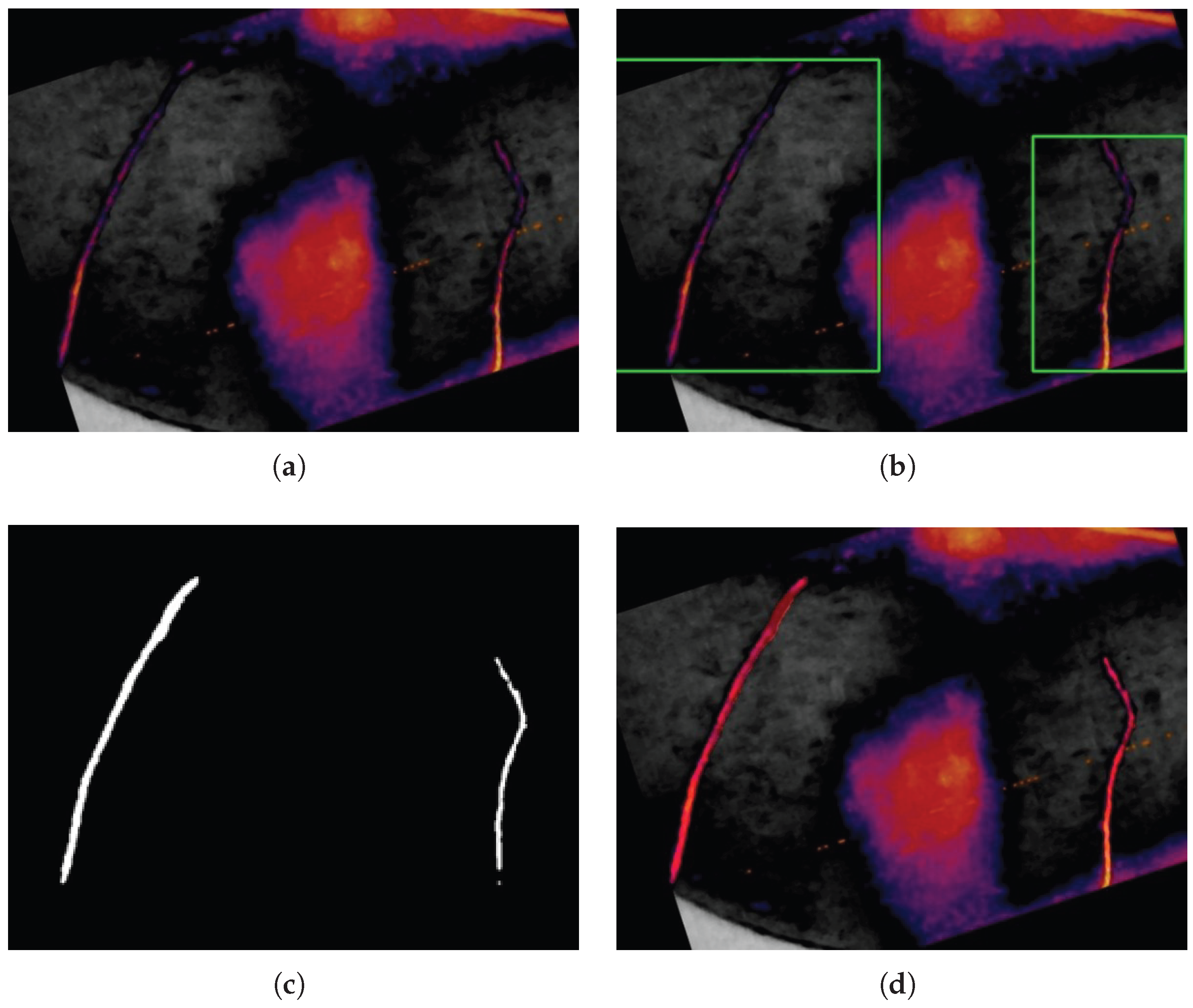 Preprints 180597 g019