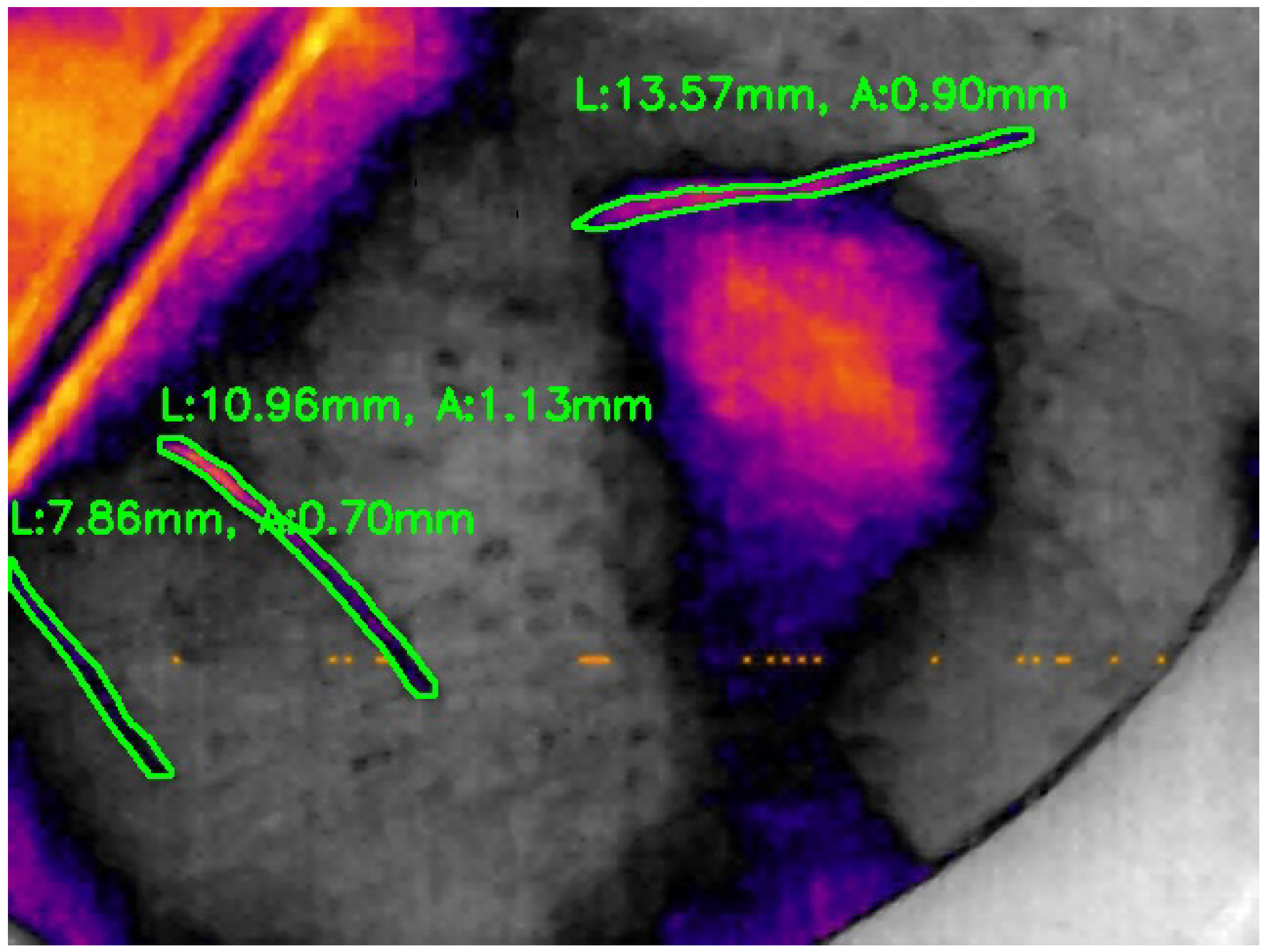 Preprints 180597 g020