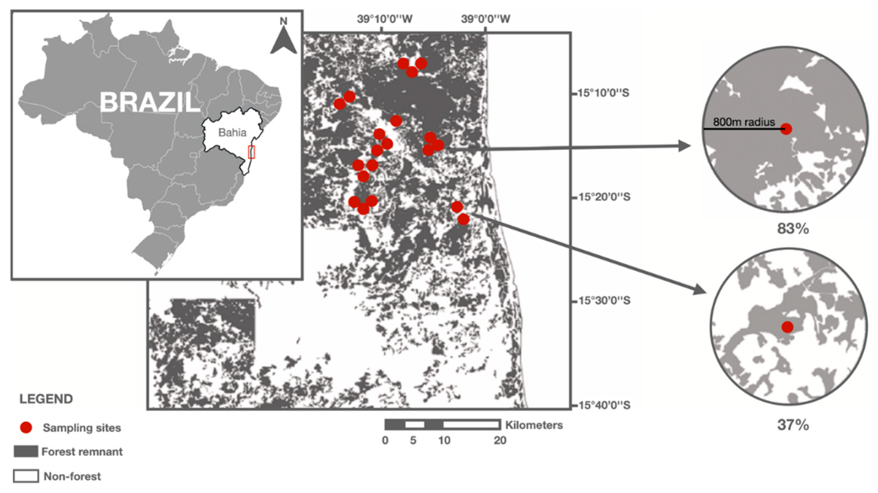 Preprints 163499 g002