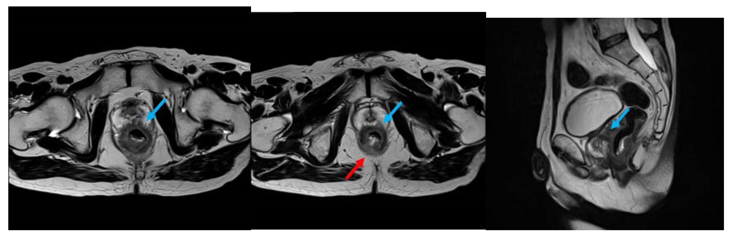 Preprints 170632 g001